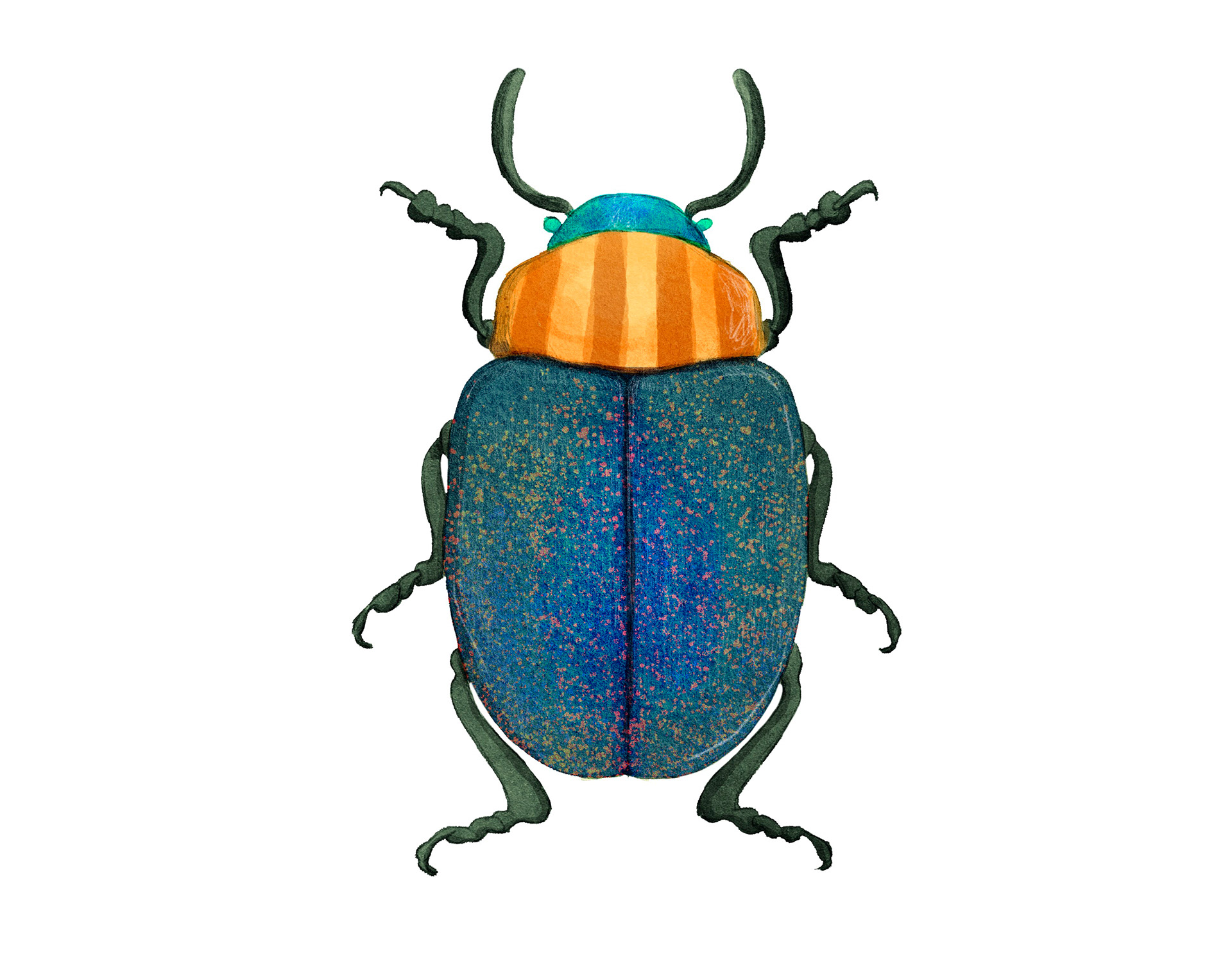 Os quatro besourinhos de Piscinópolis | PIU | 2024