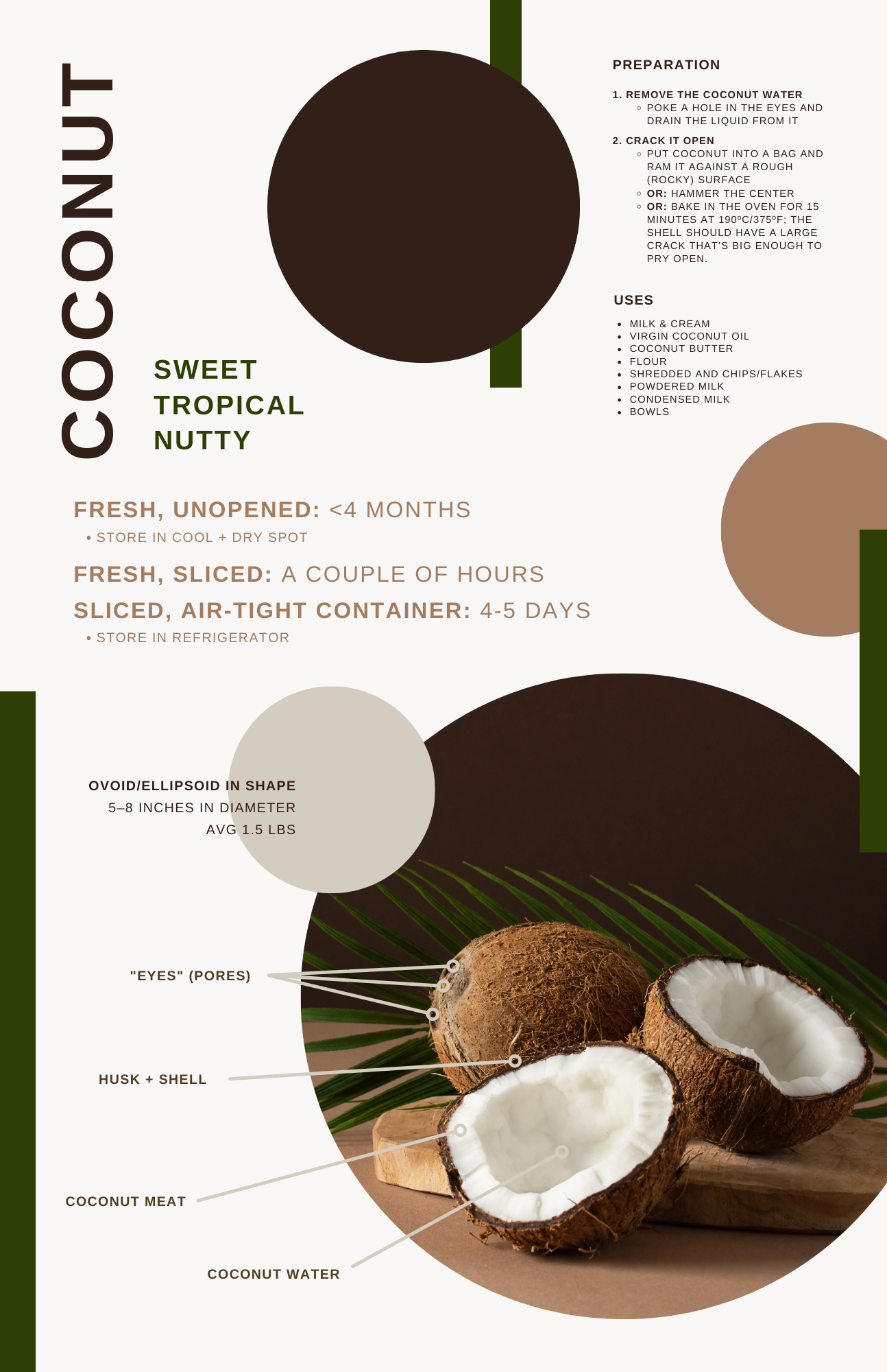 COCONUT (KELAPA)
