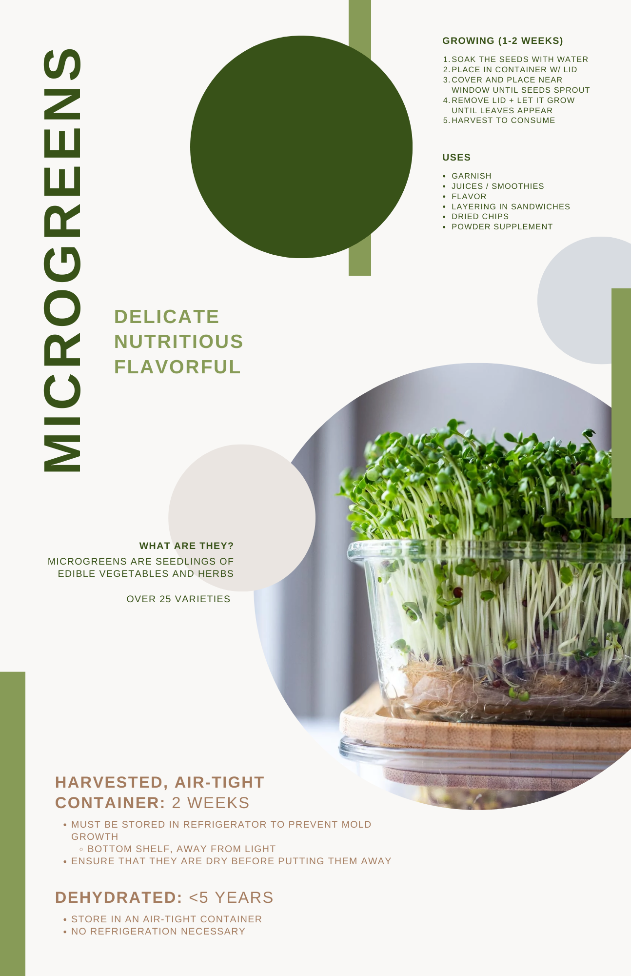 MICROGREENS (KELAPA)