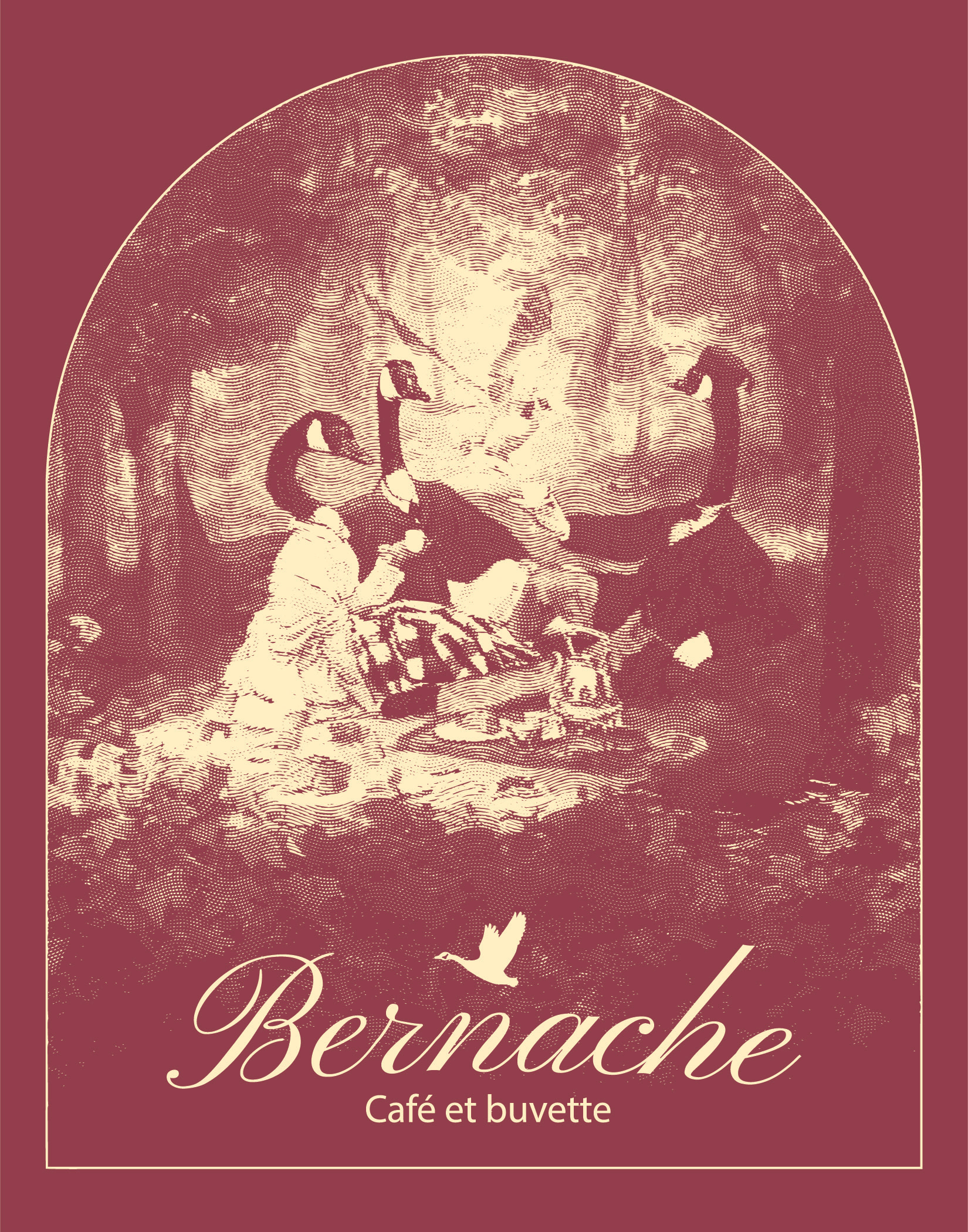 Géogène - T-shirt - Bernache - illustration vecto