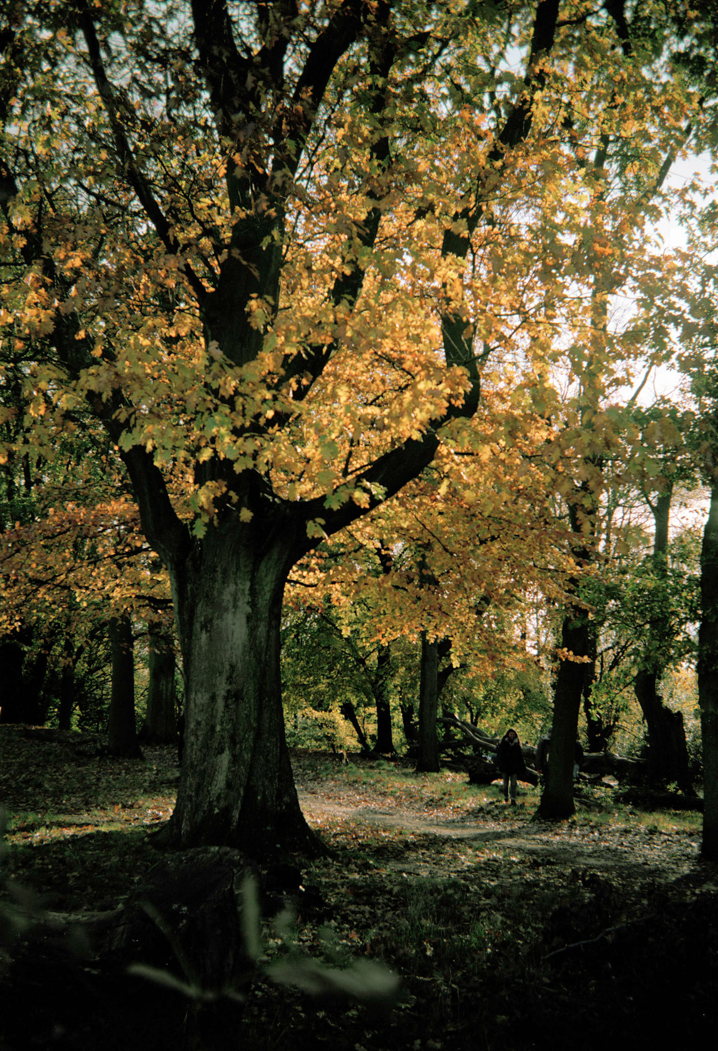 Re-spooled 120 Film -> 620