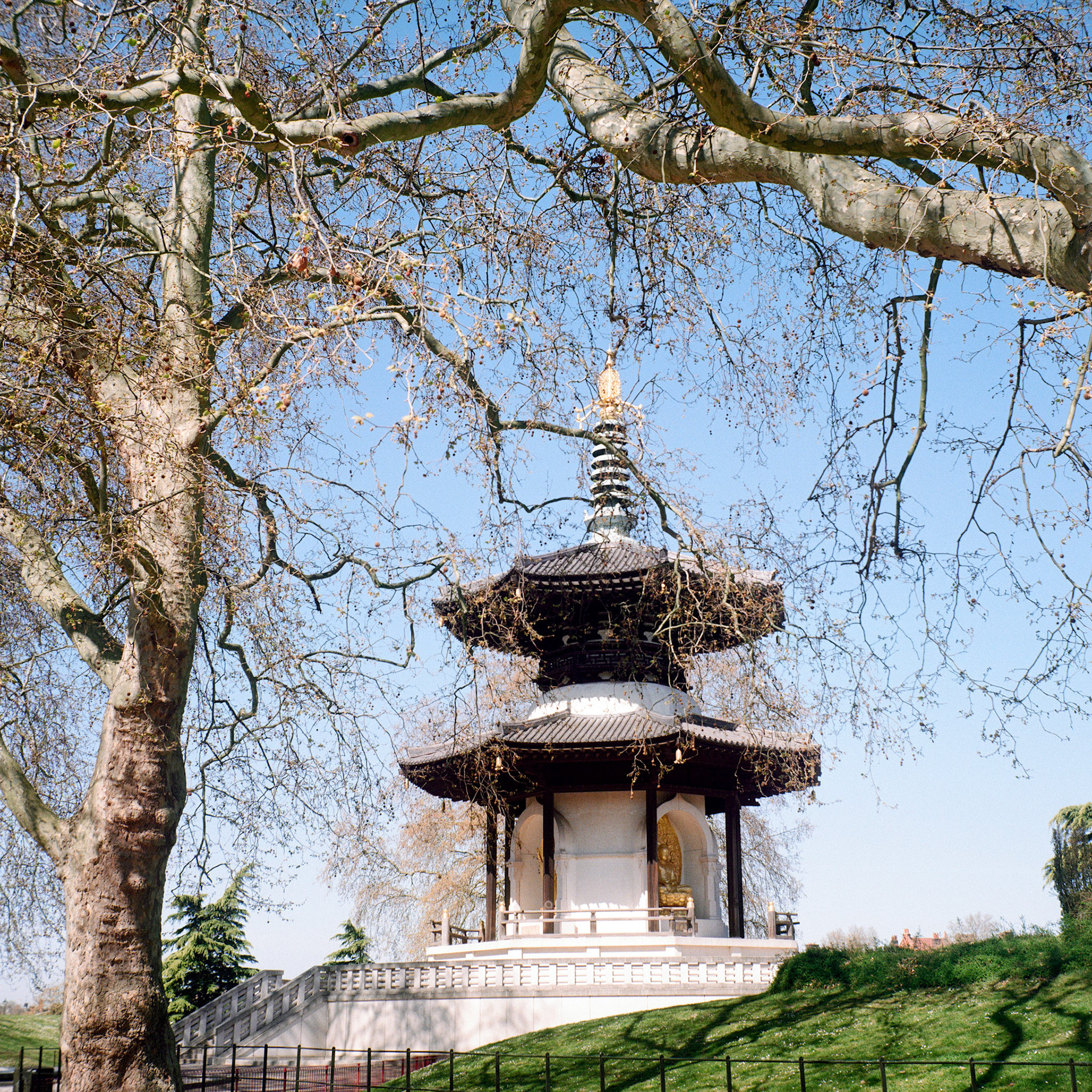 Battersea Pagoda London