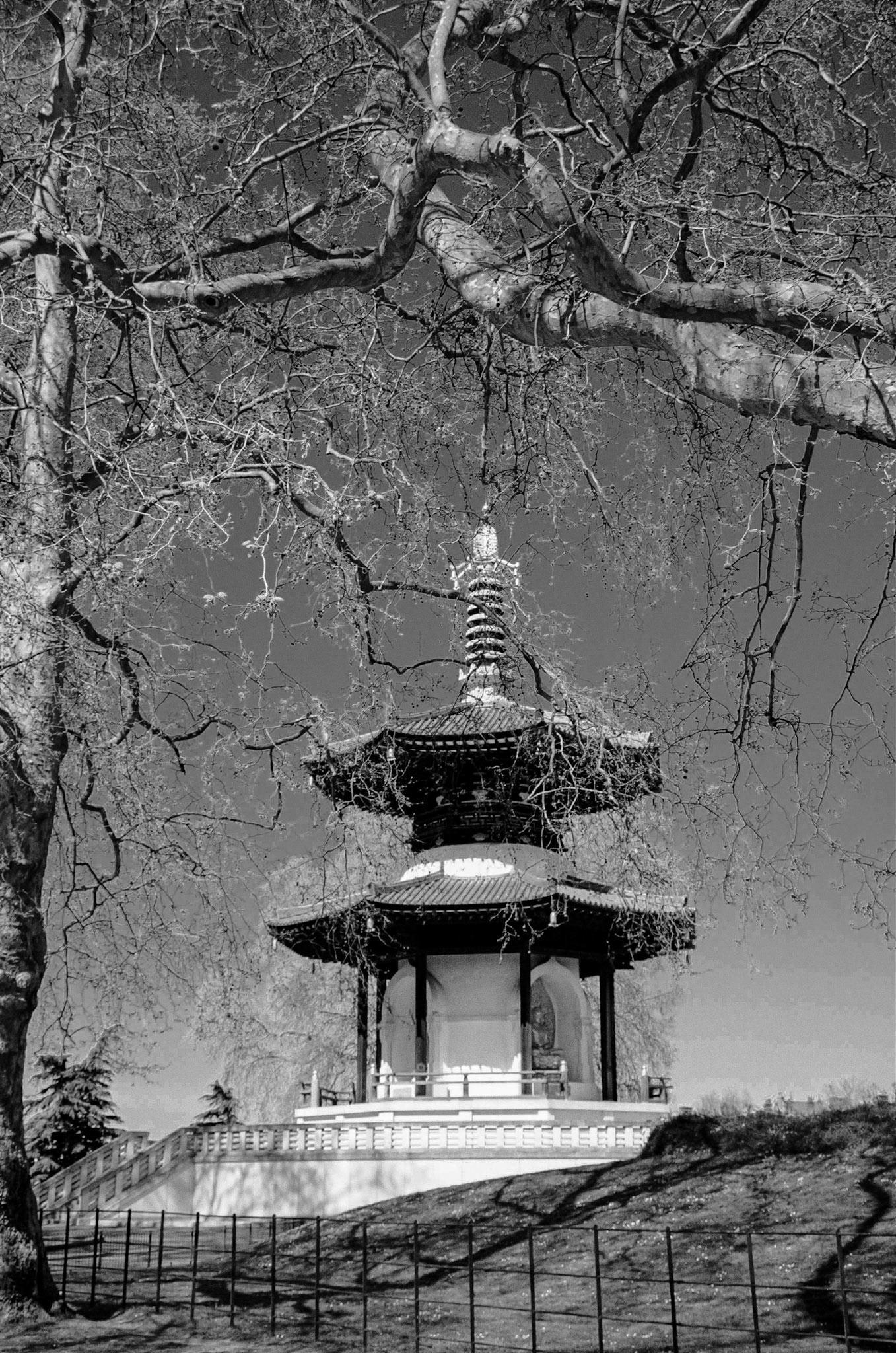 The London Peace Pagoda, Battersea