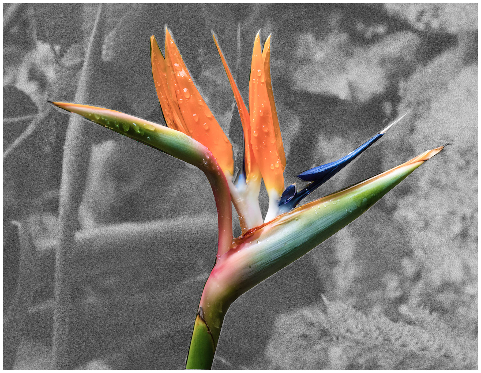 A standout