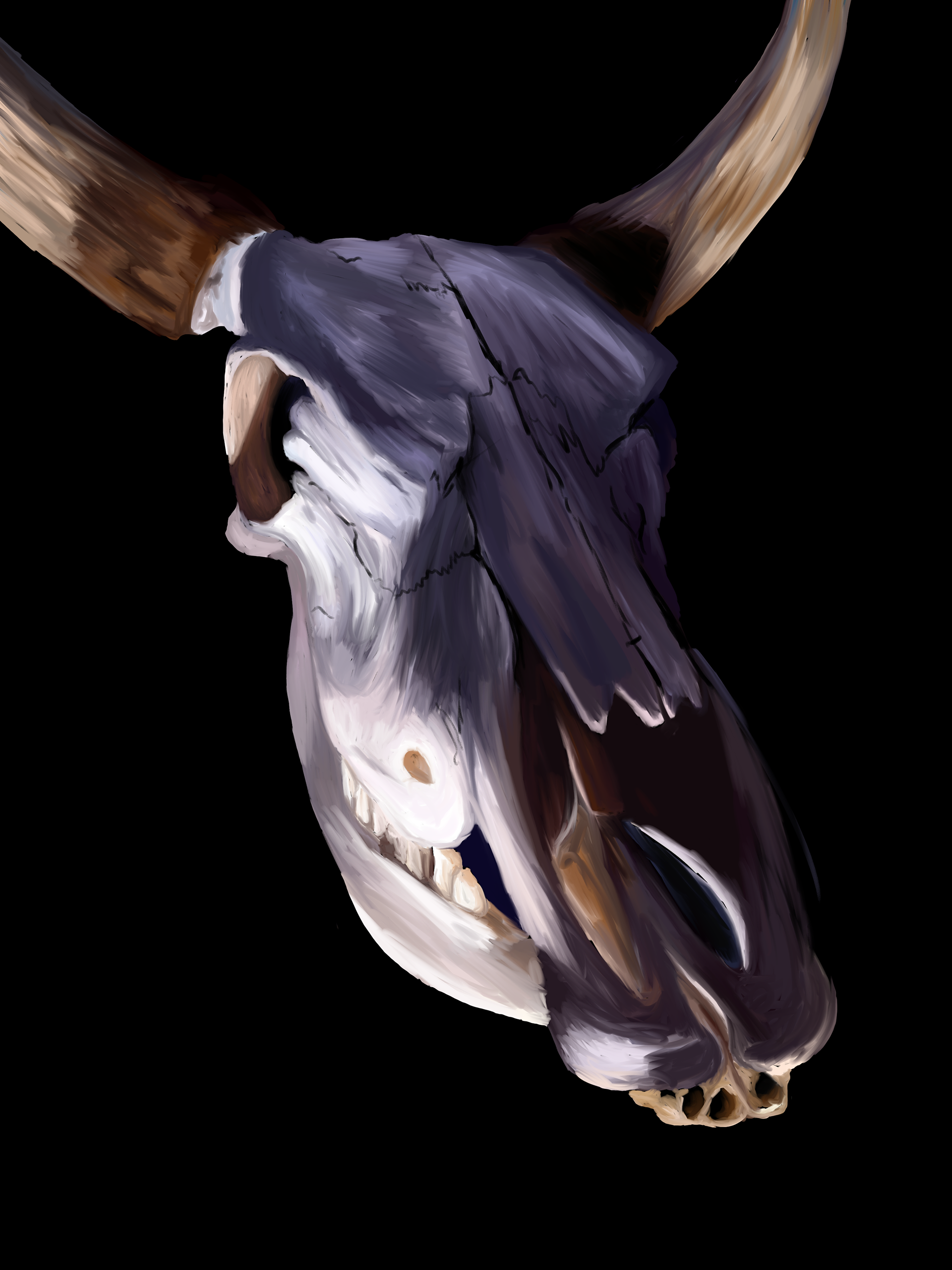 Skull