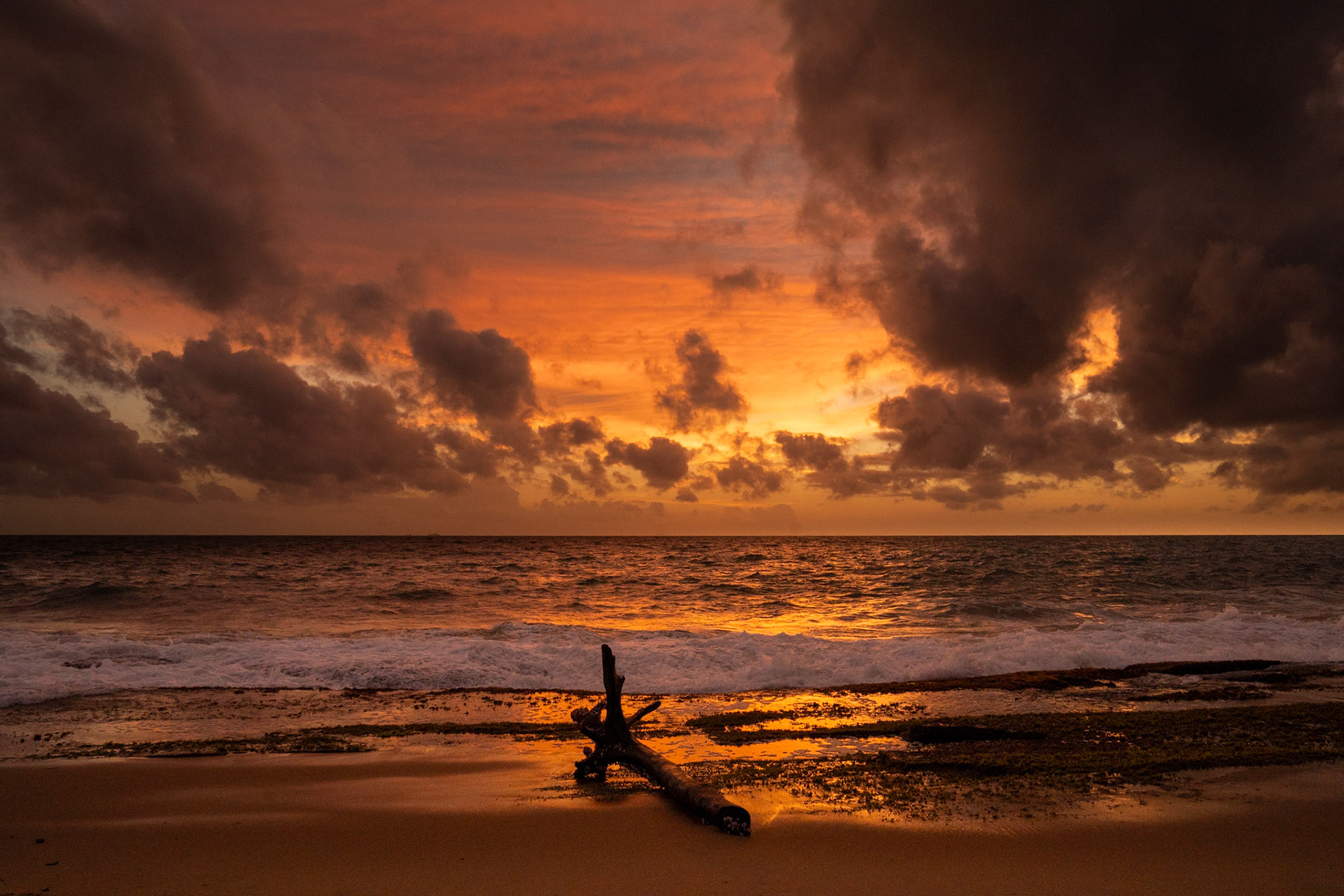 Negombo Sri Lanka