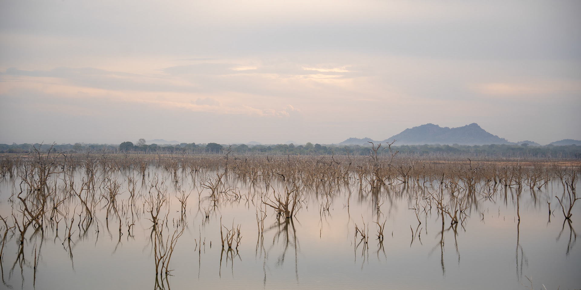 Yala Sri Lanka