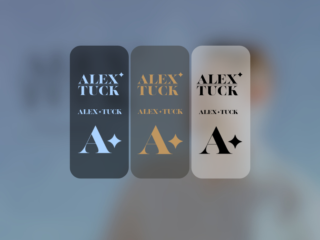 The logo set I developed.
