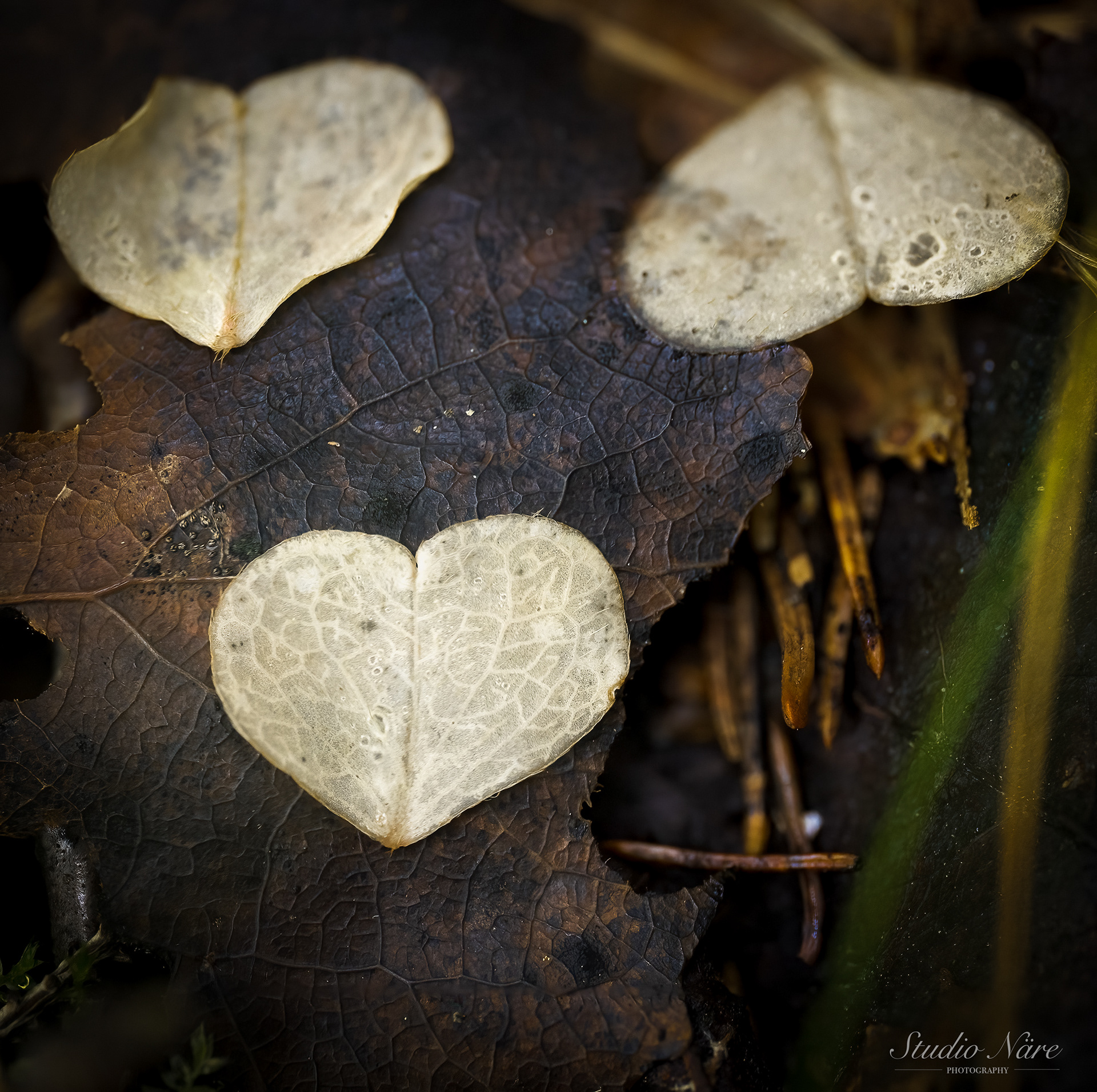 Eternal love