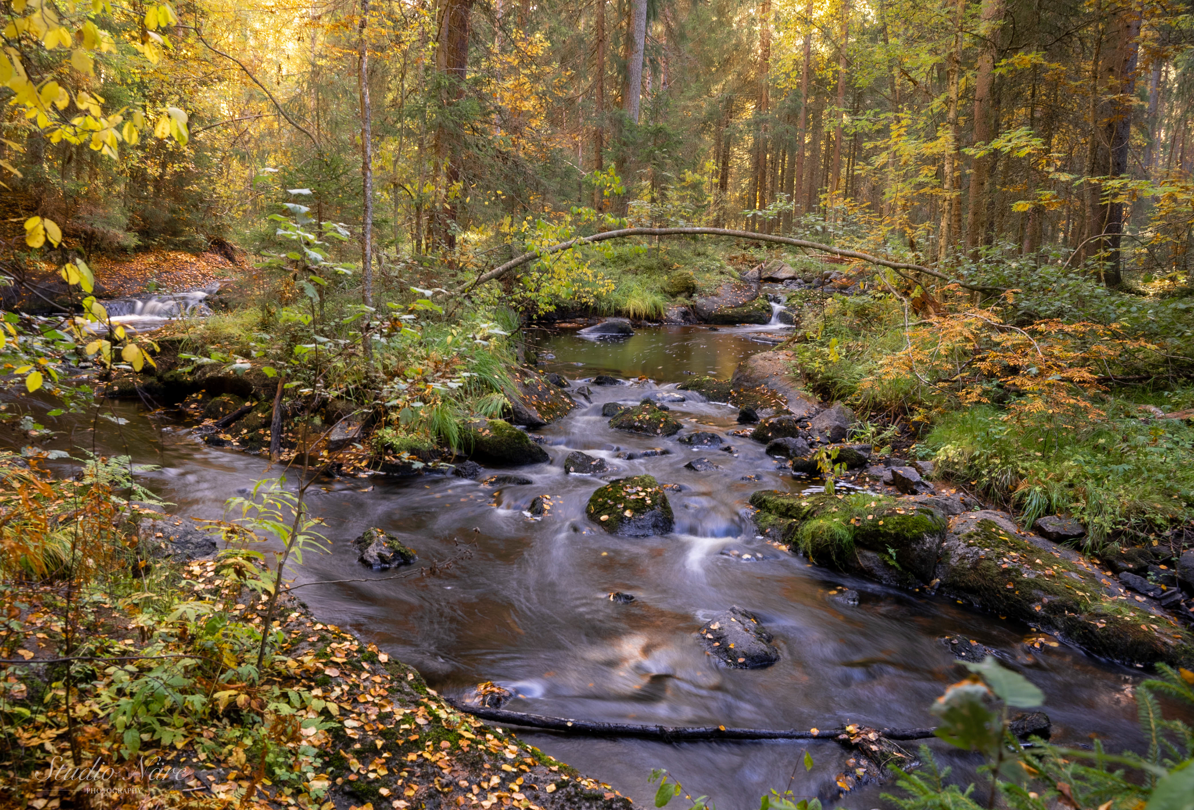 Myllylänjoki