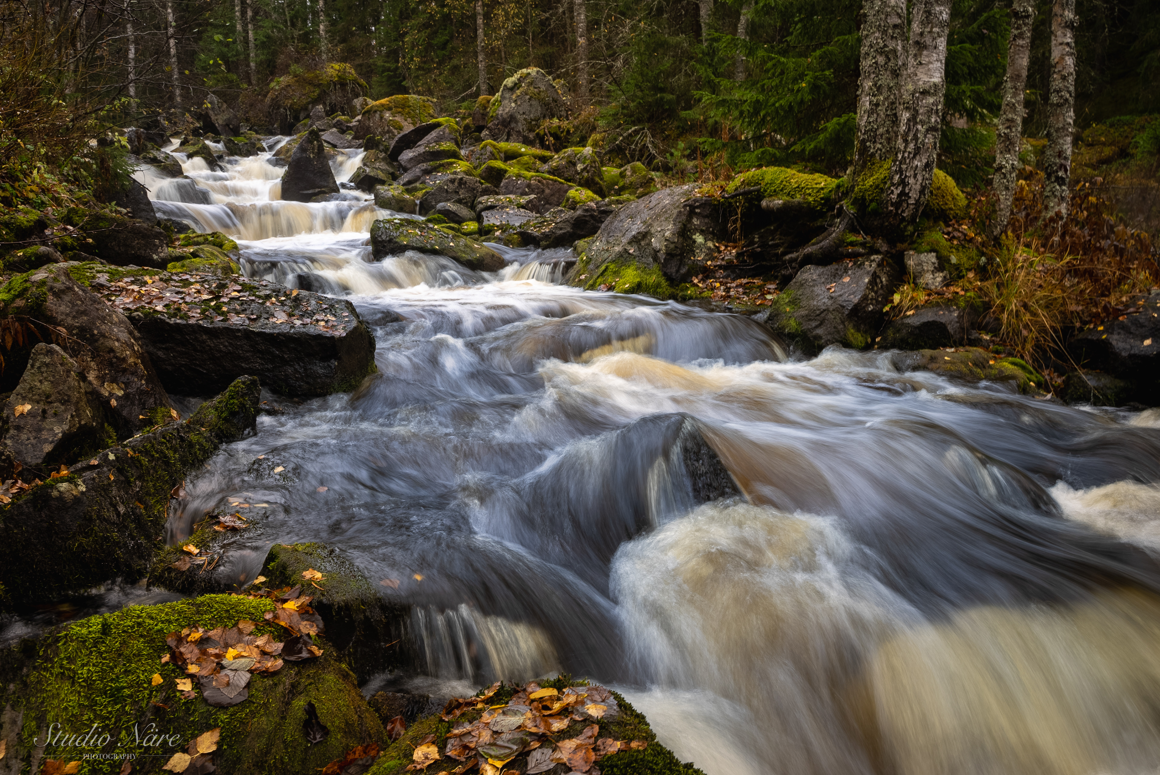 Riuttakoski