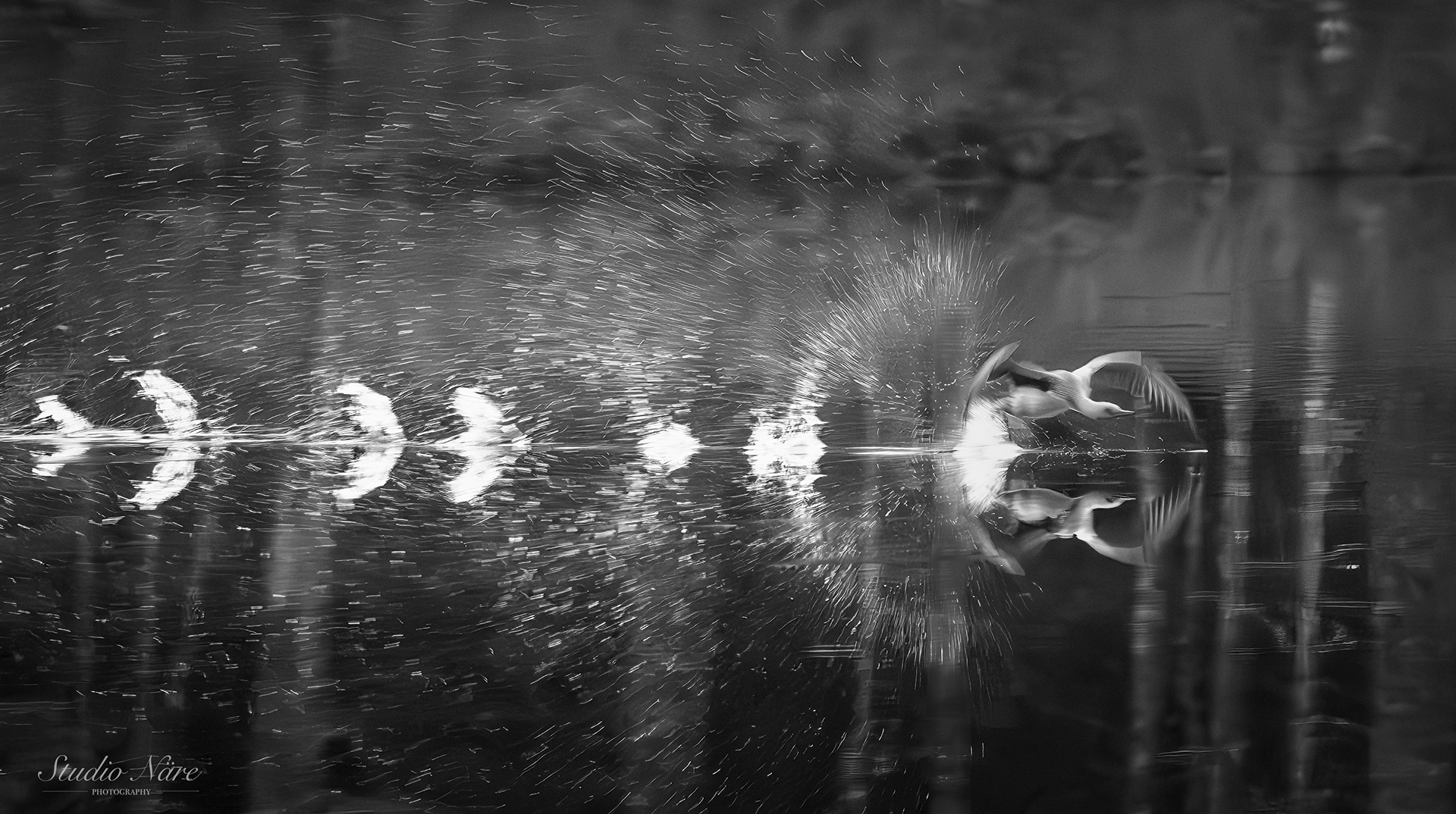 Kiitorata 240€, 116x65cm