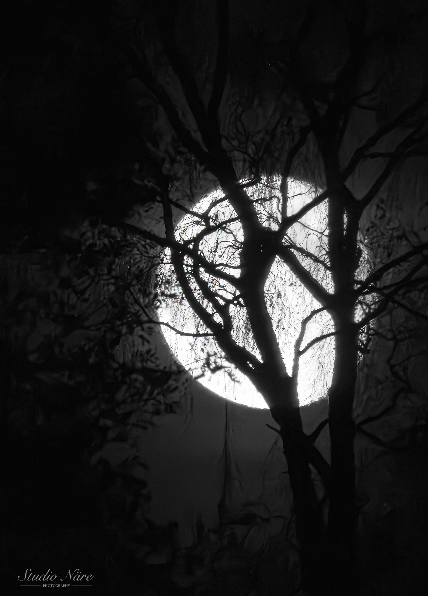 The Moon