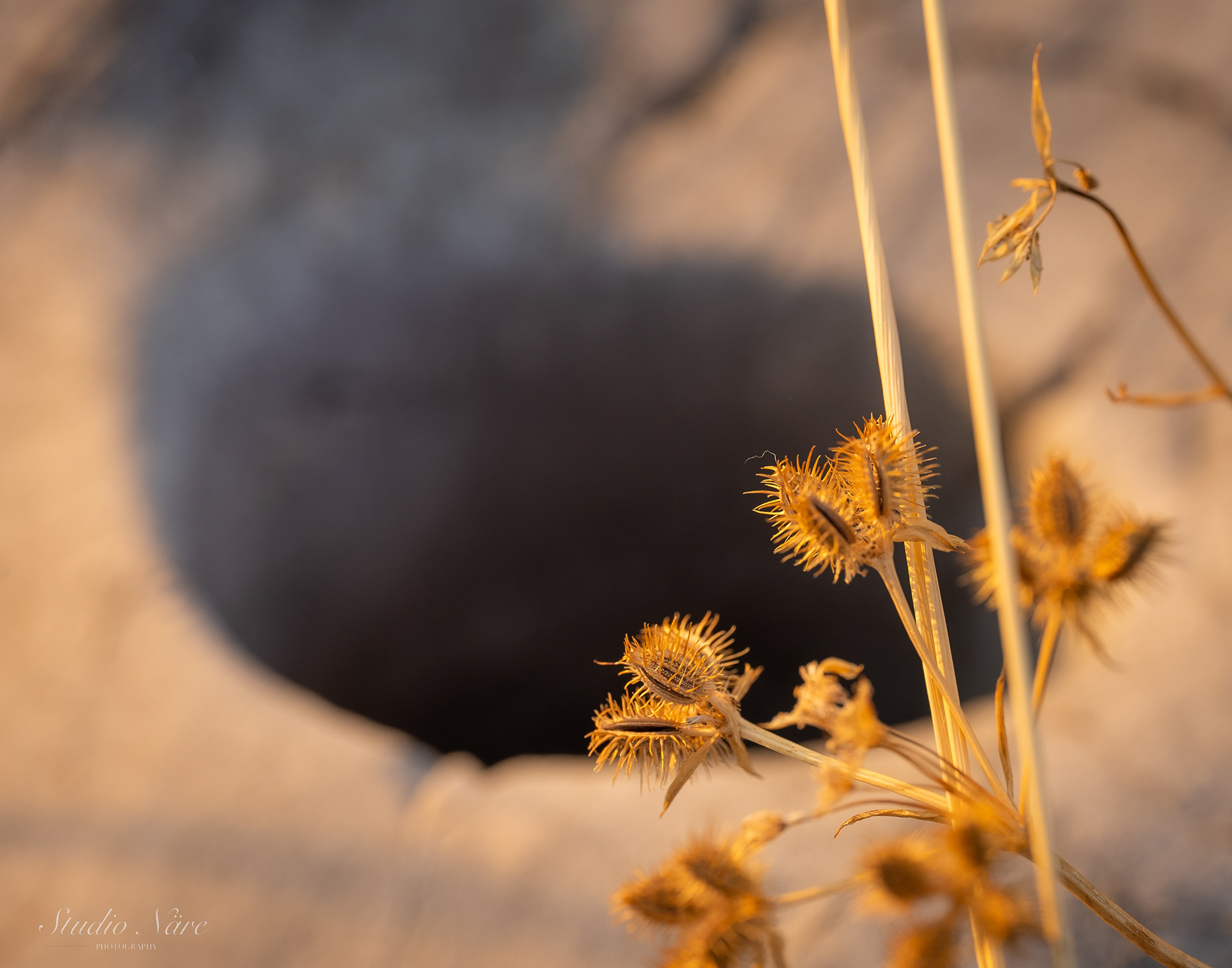 Black hole