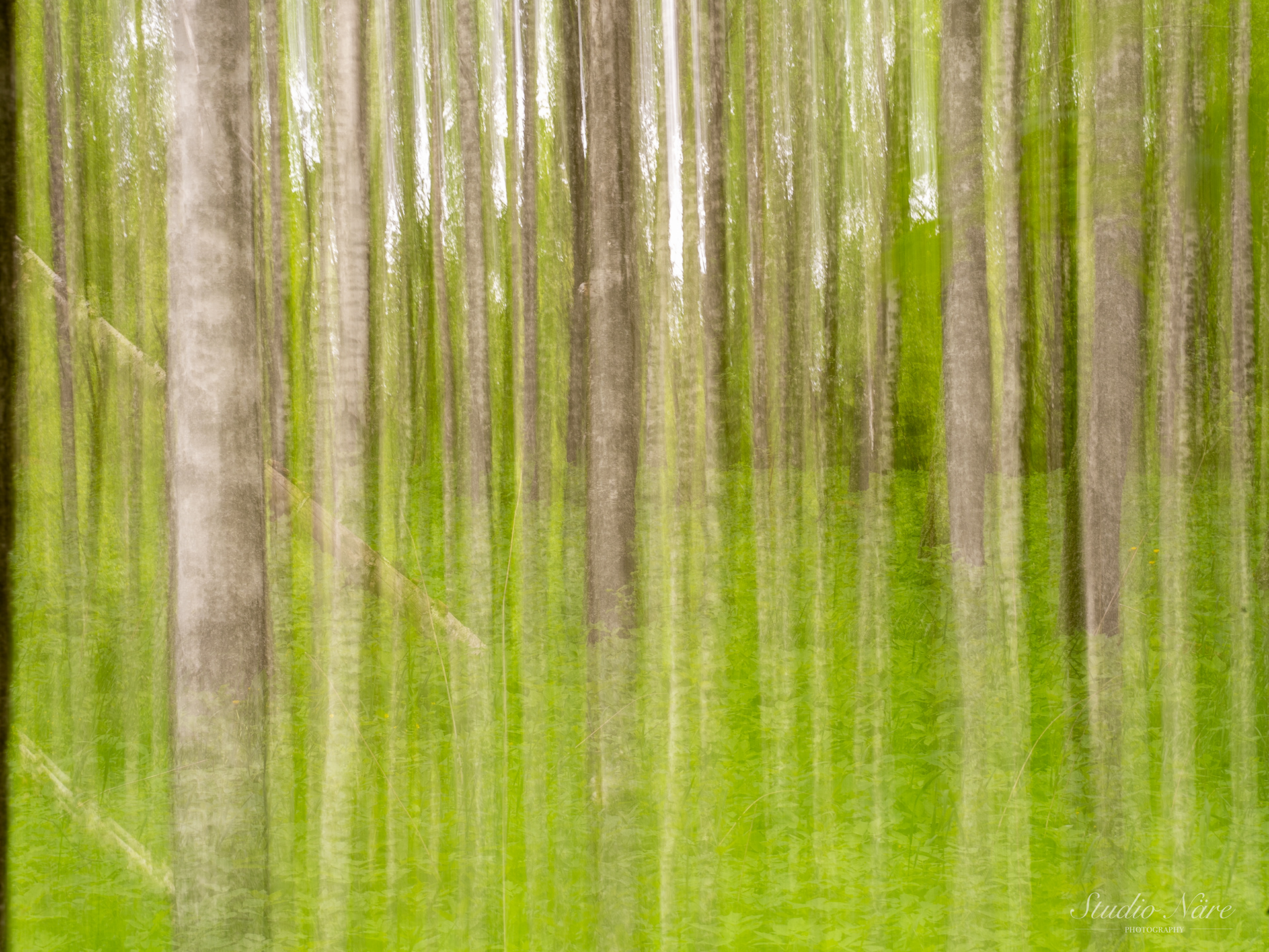 Kesäinen taikametsä 190€, 100x75cm
