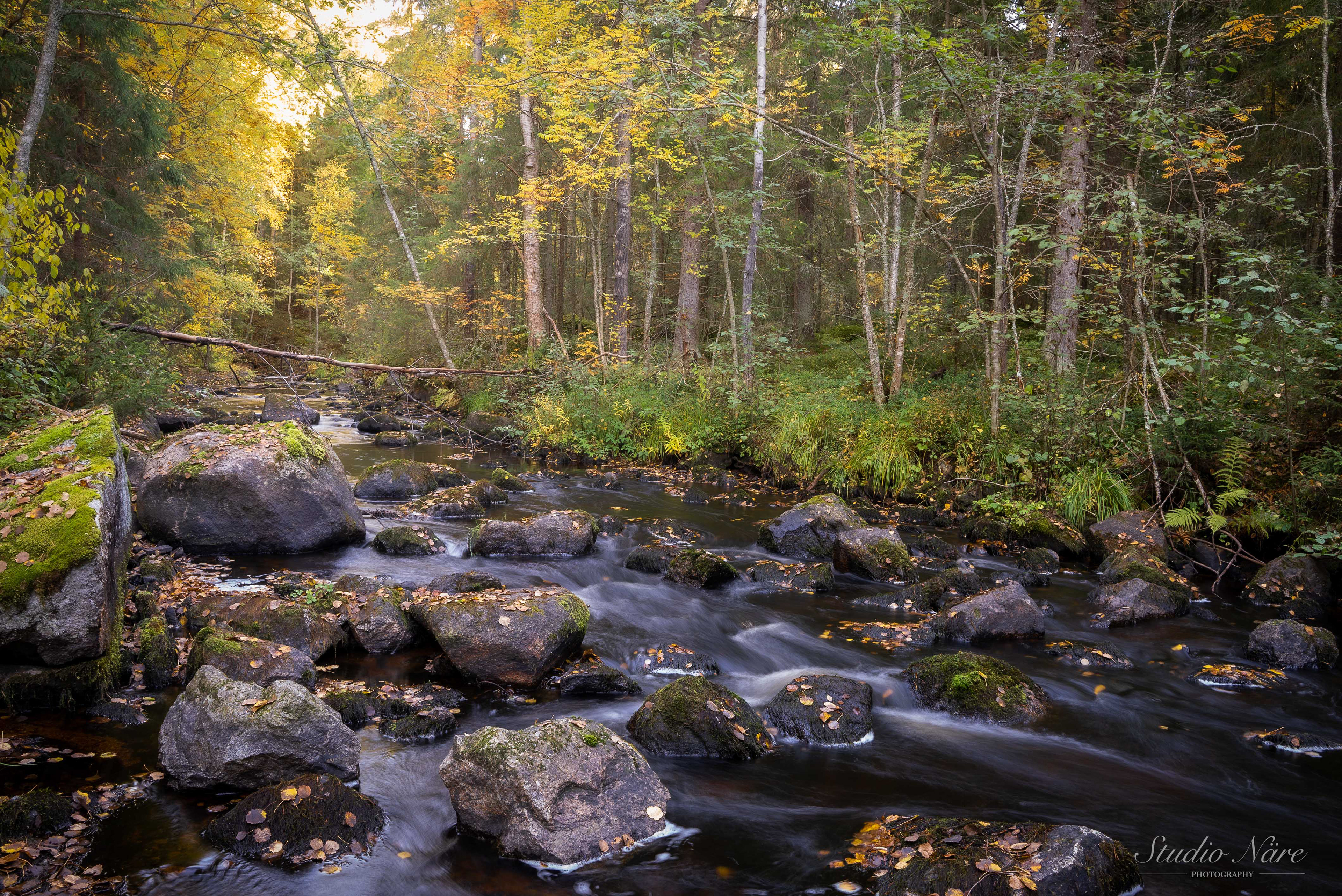 Myllylänjoki