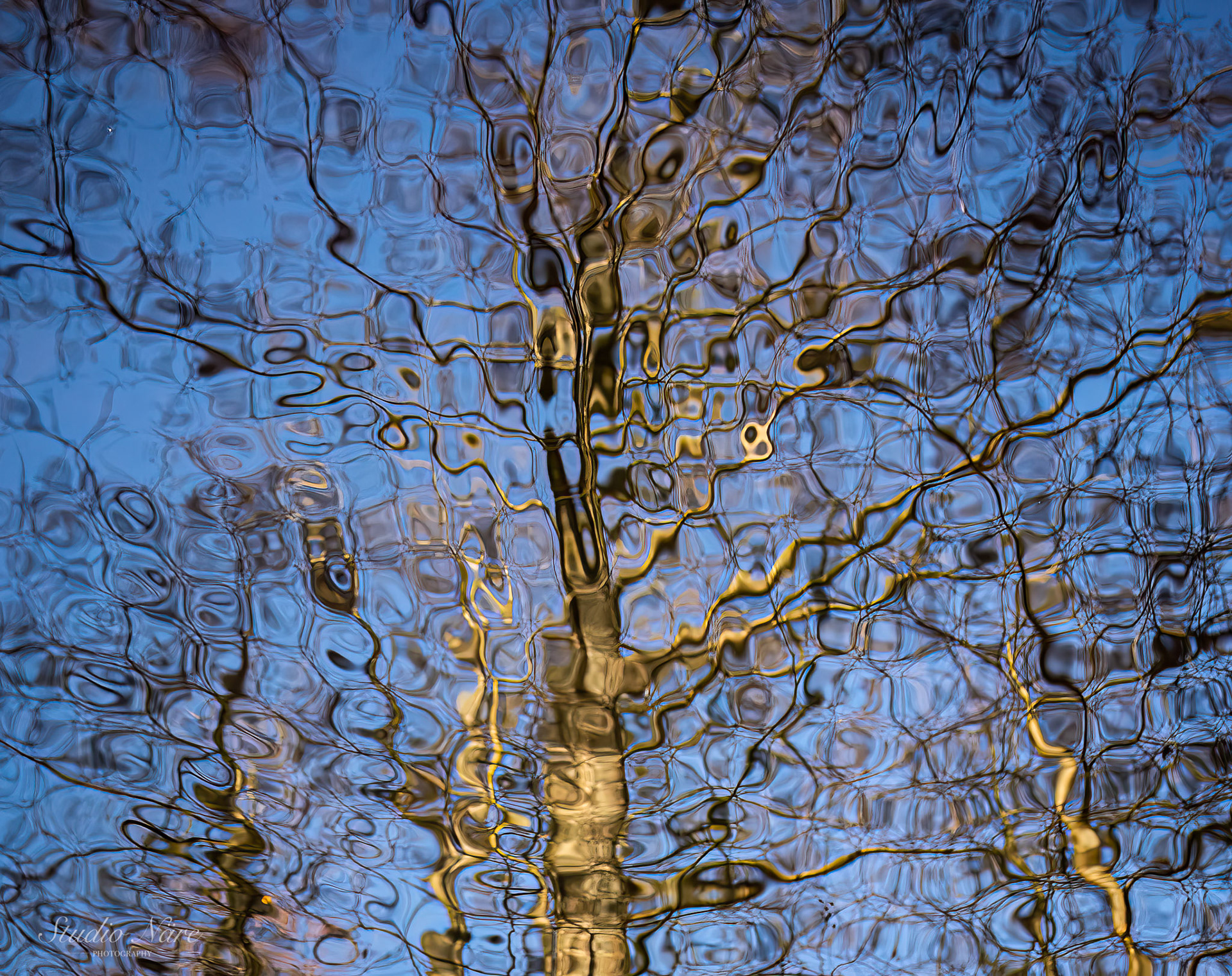 Reflection