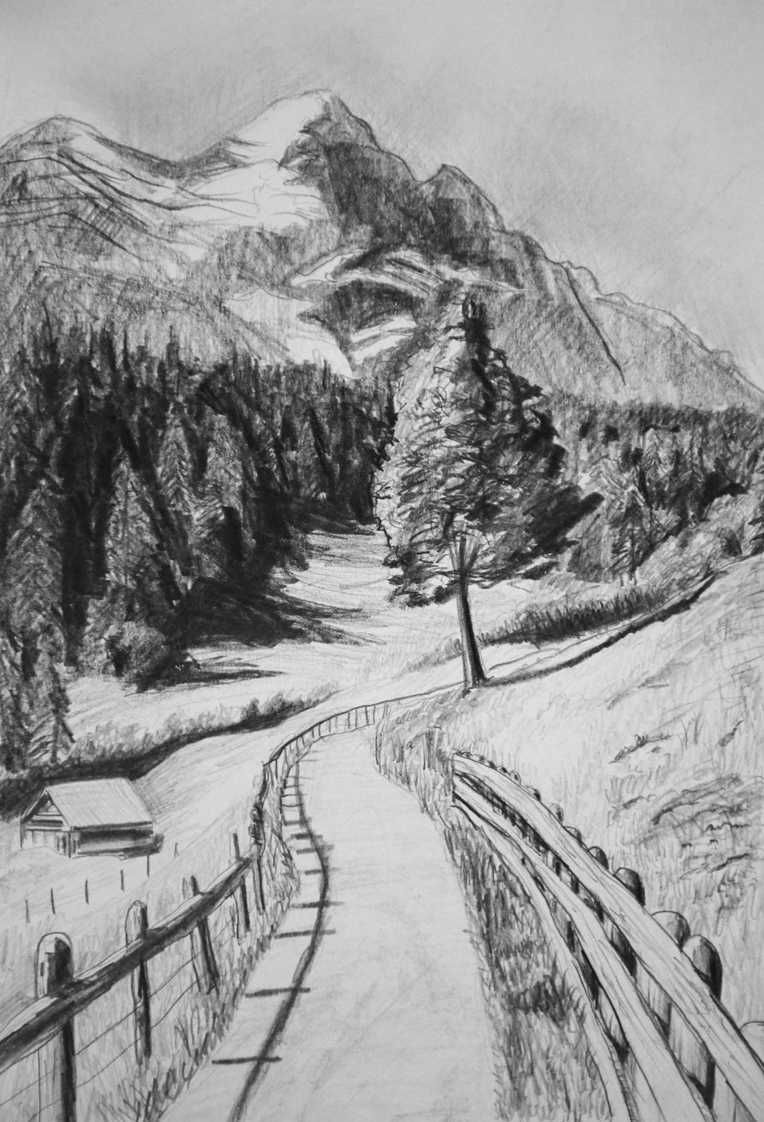 Mountain Trail