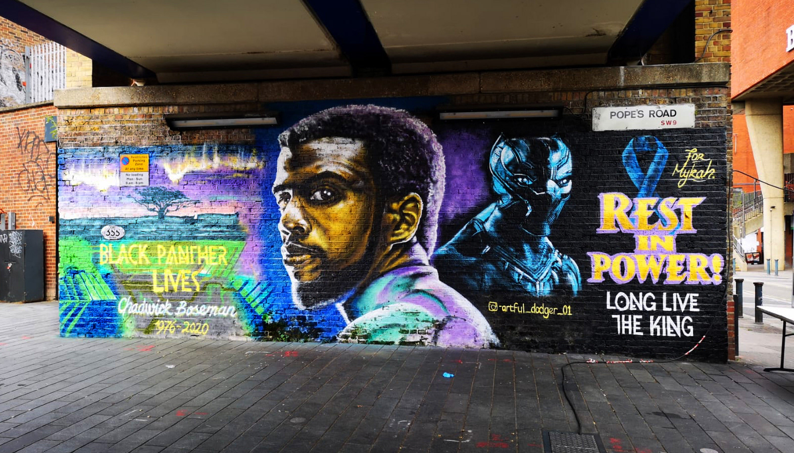 CHADWICK BOSEMAN: THE BLACK PANTHER LIVES!