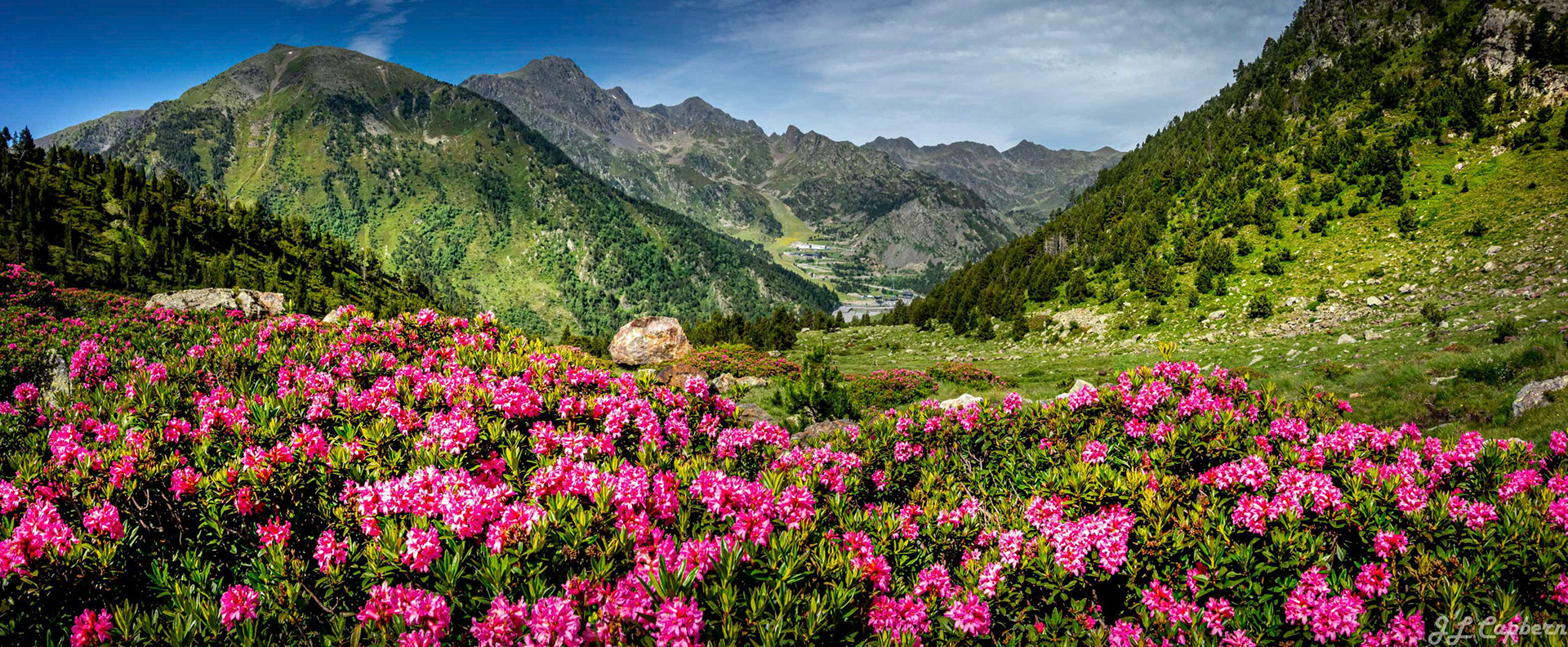 Arinsal