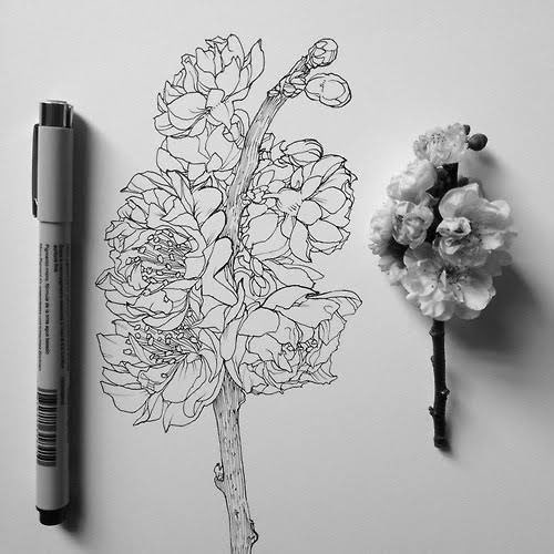 Pen and Ink