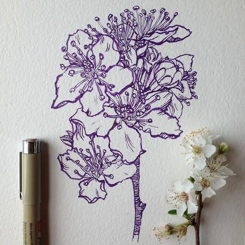 Pen and ink