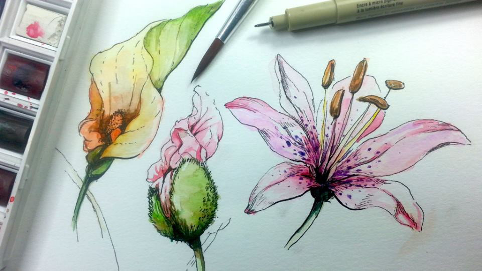 Water Color