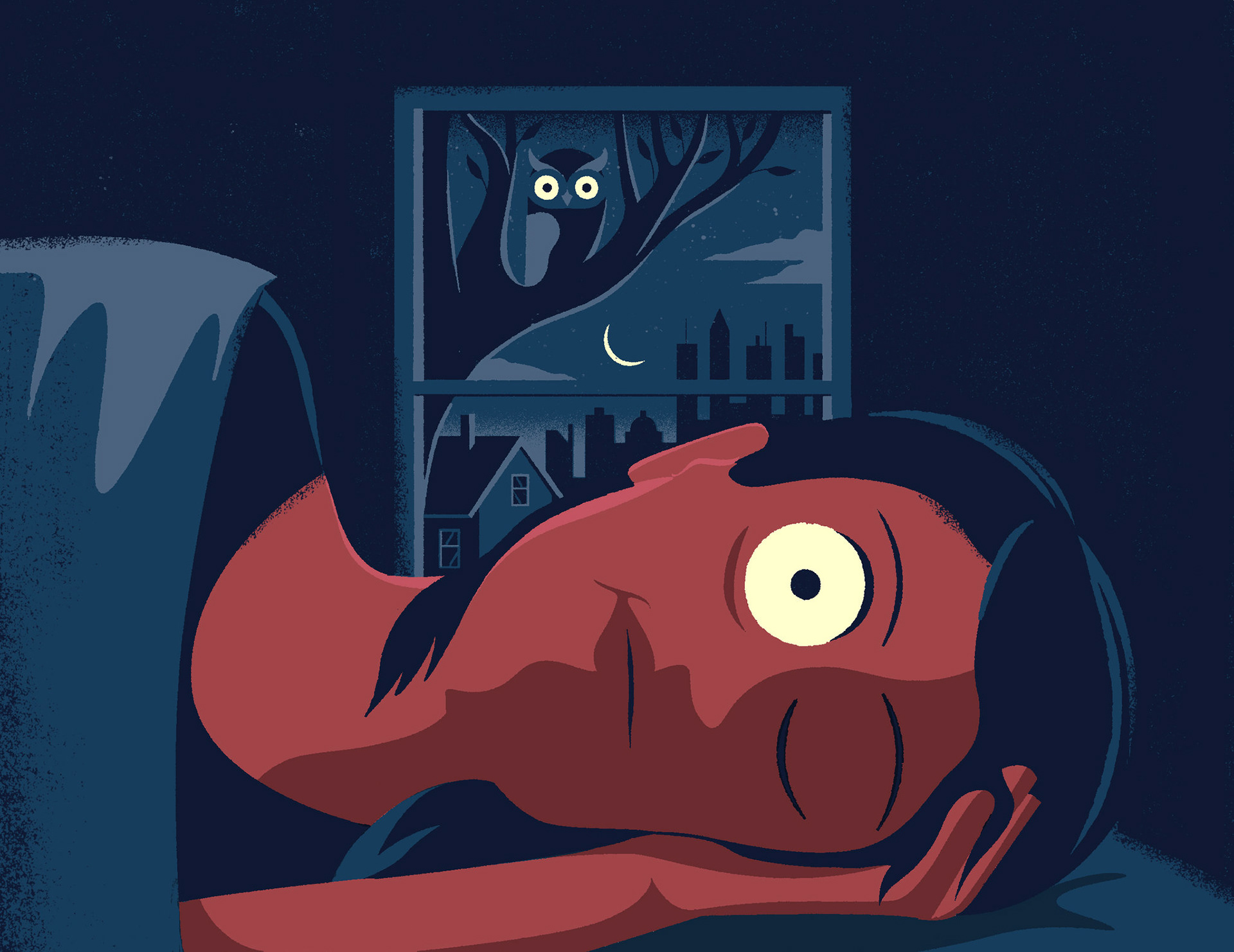 Night Owl