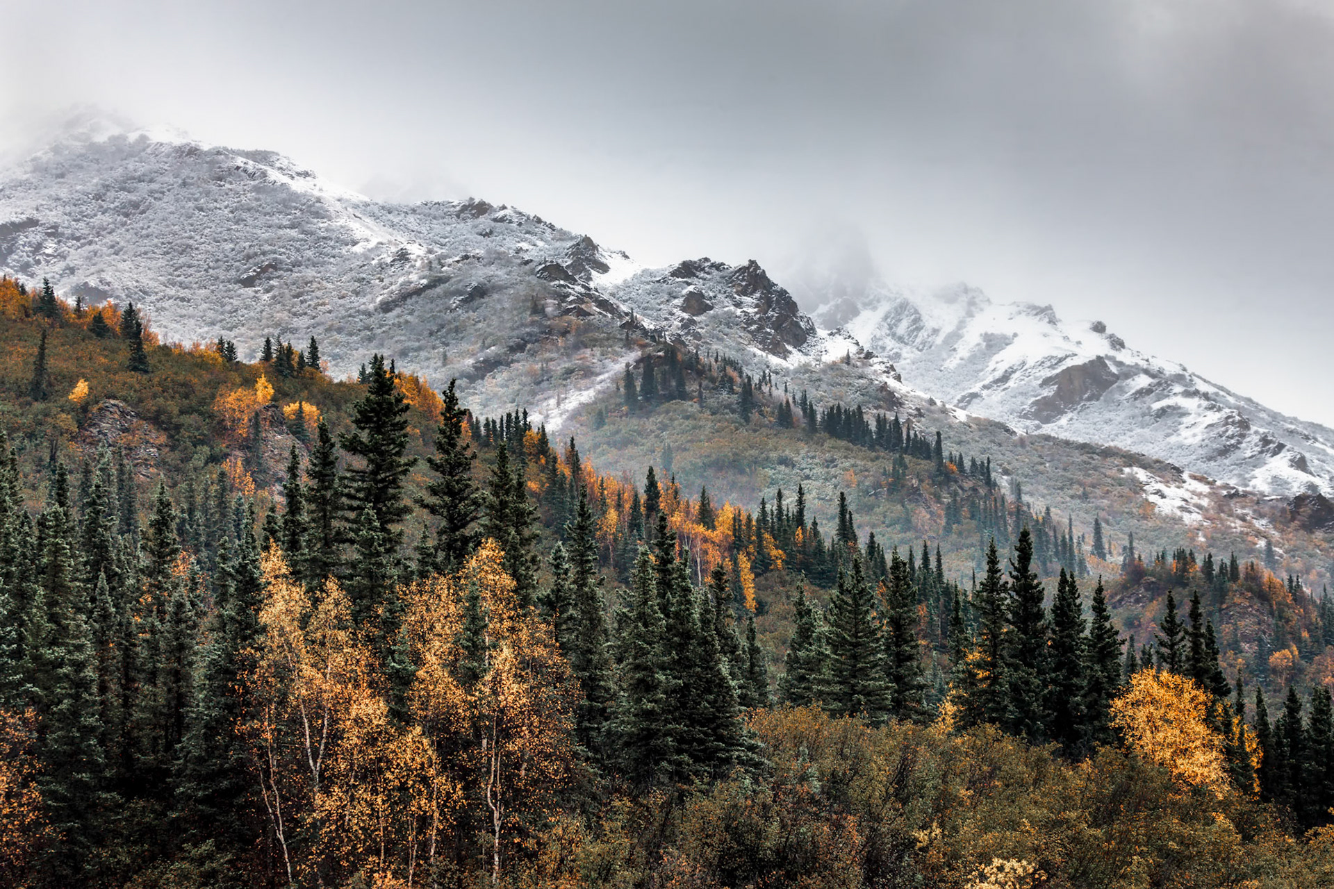 Fall in Denali Park