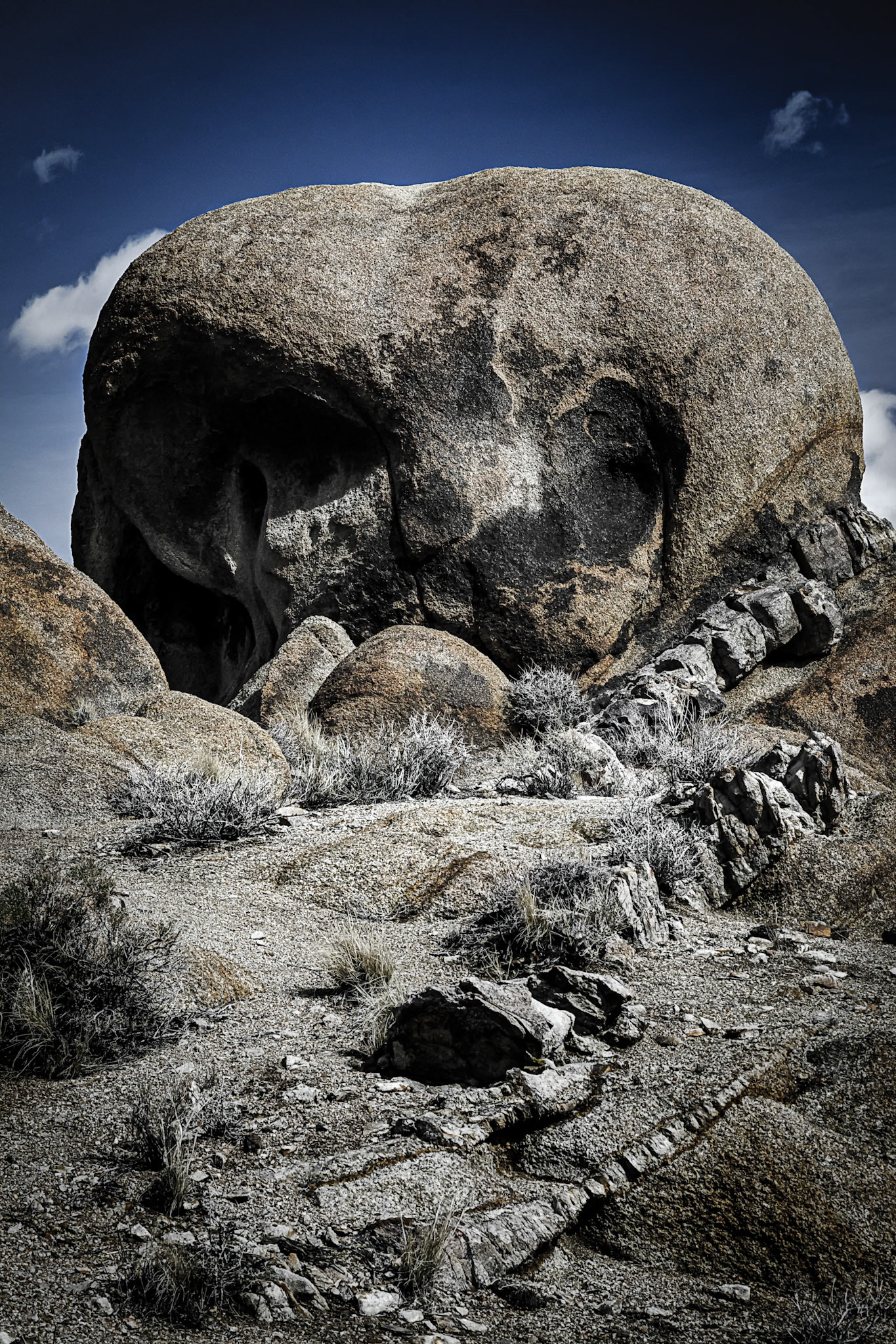 Skull and Bones