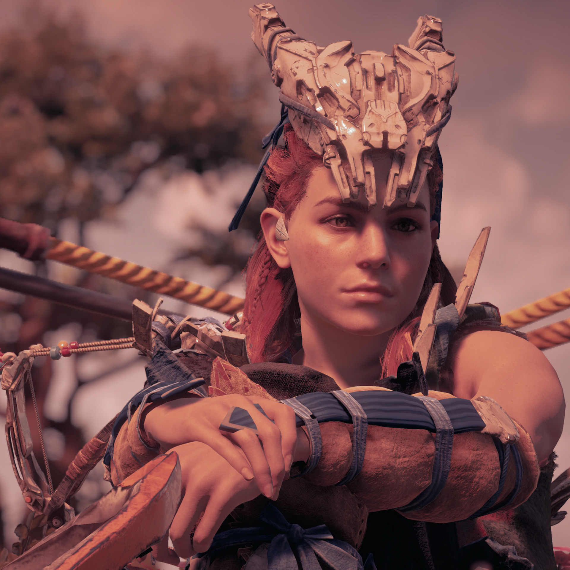 Horizon Zero Dawn™: Complete Edition_20201206232301