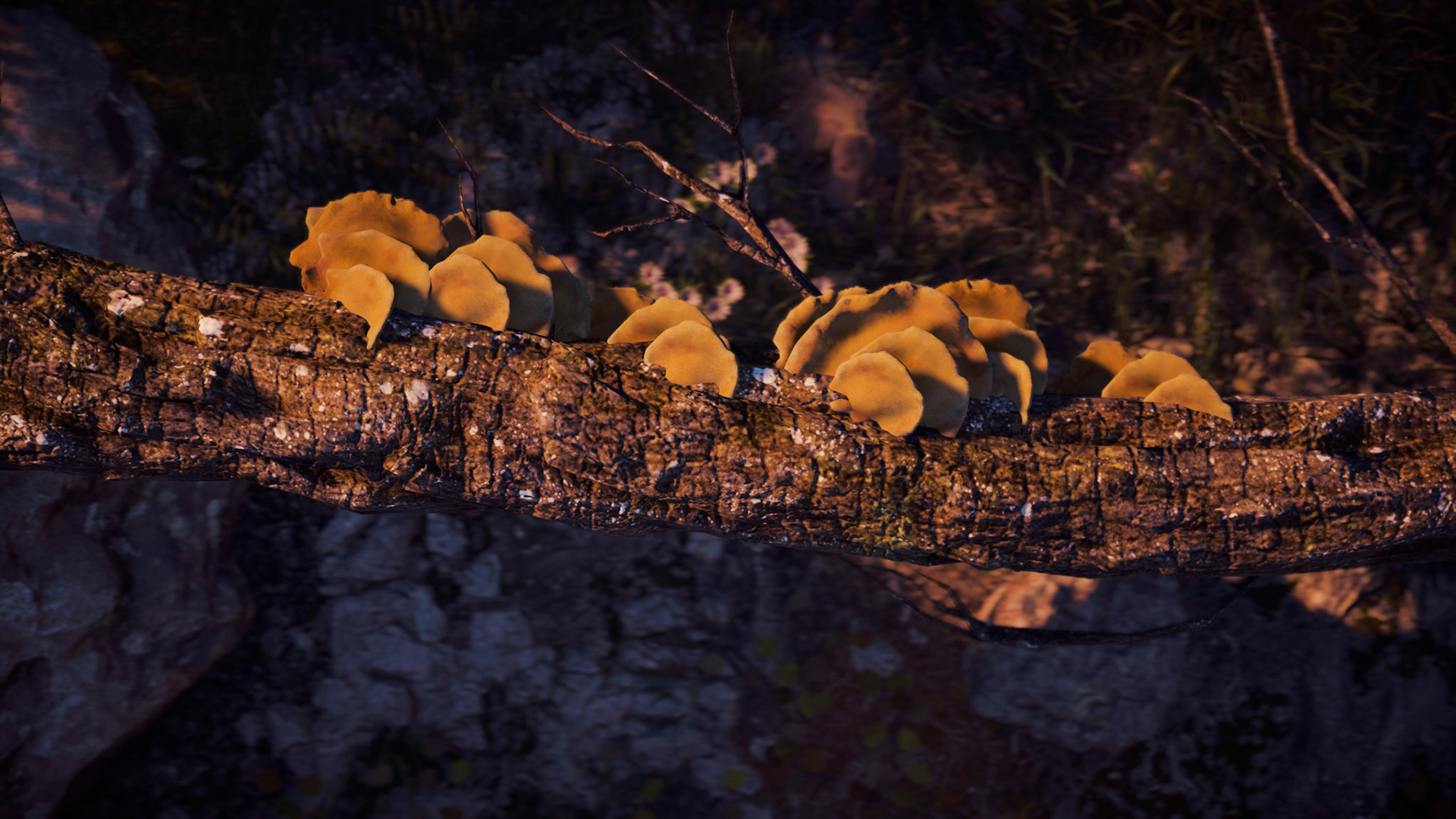 Horizon Zero Dawn™: Complete Edition_20201129014410