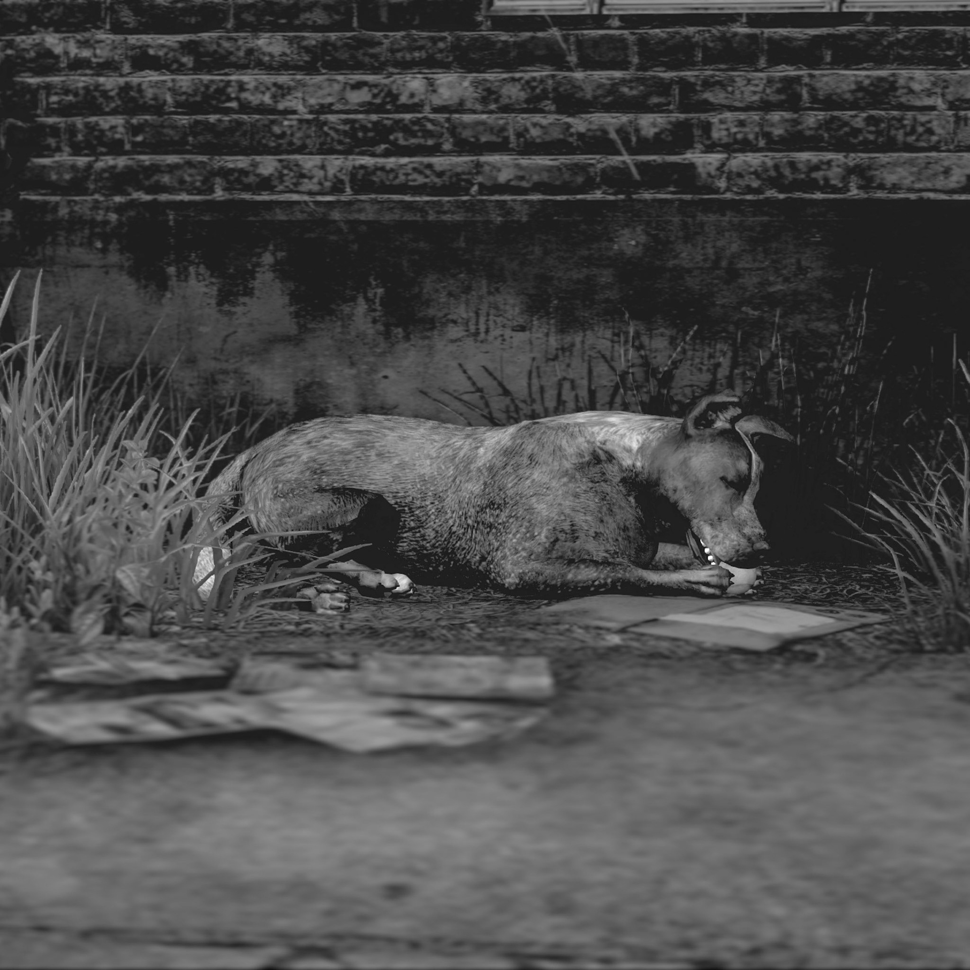 The Last of Us™ Remastered_20200926210215