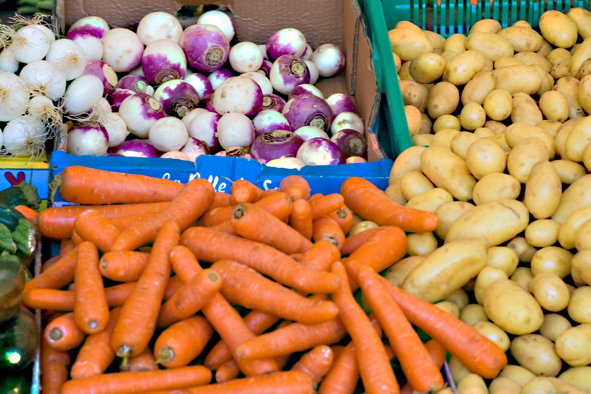 Carrots, Turnips and Potatoes - Paris