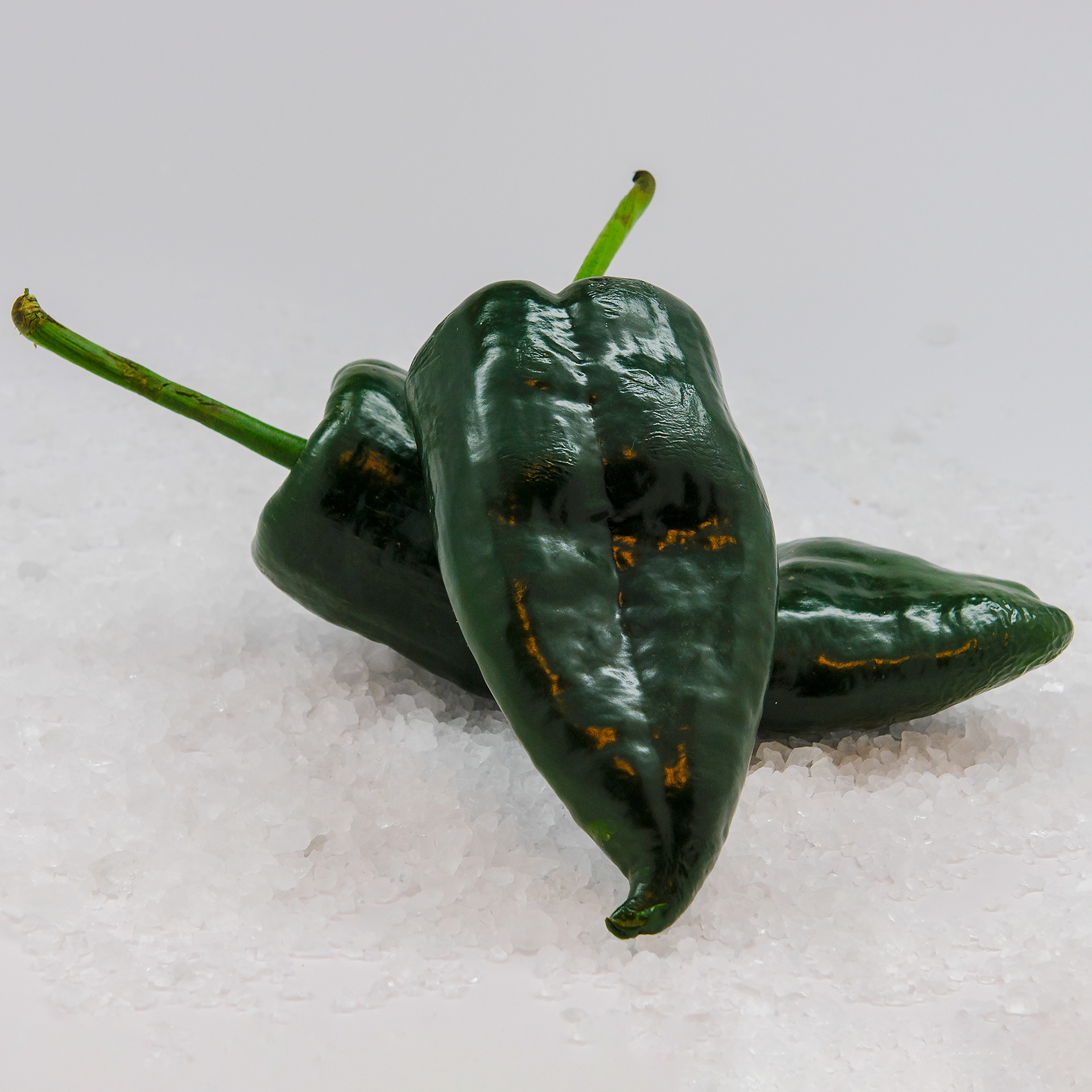 Poblano Peppers