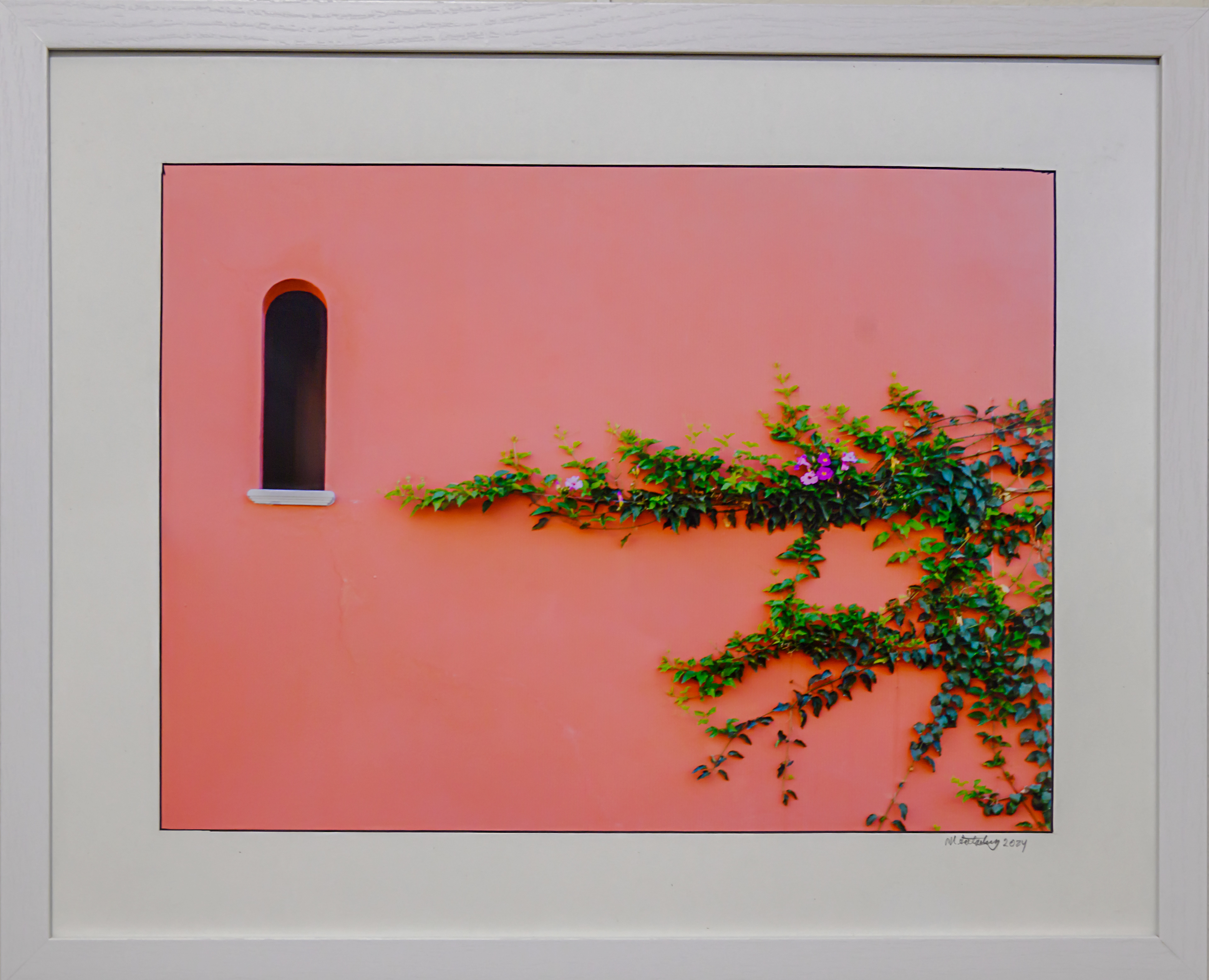 Morning lory and Arch Window - - San Miguel de Allende