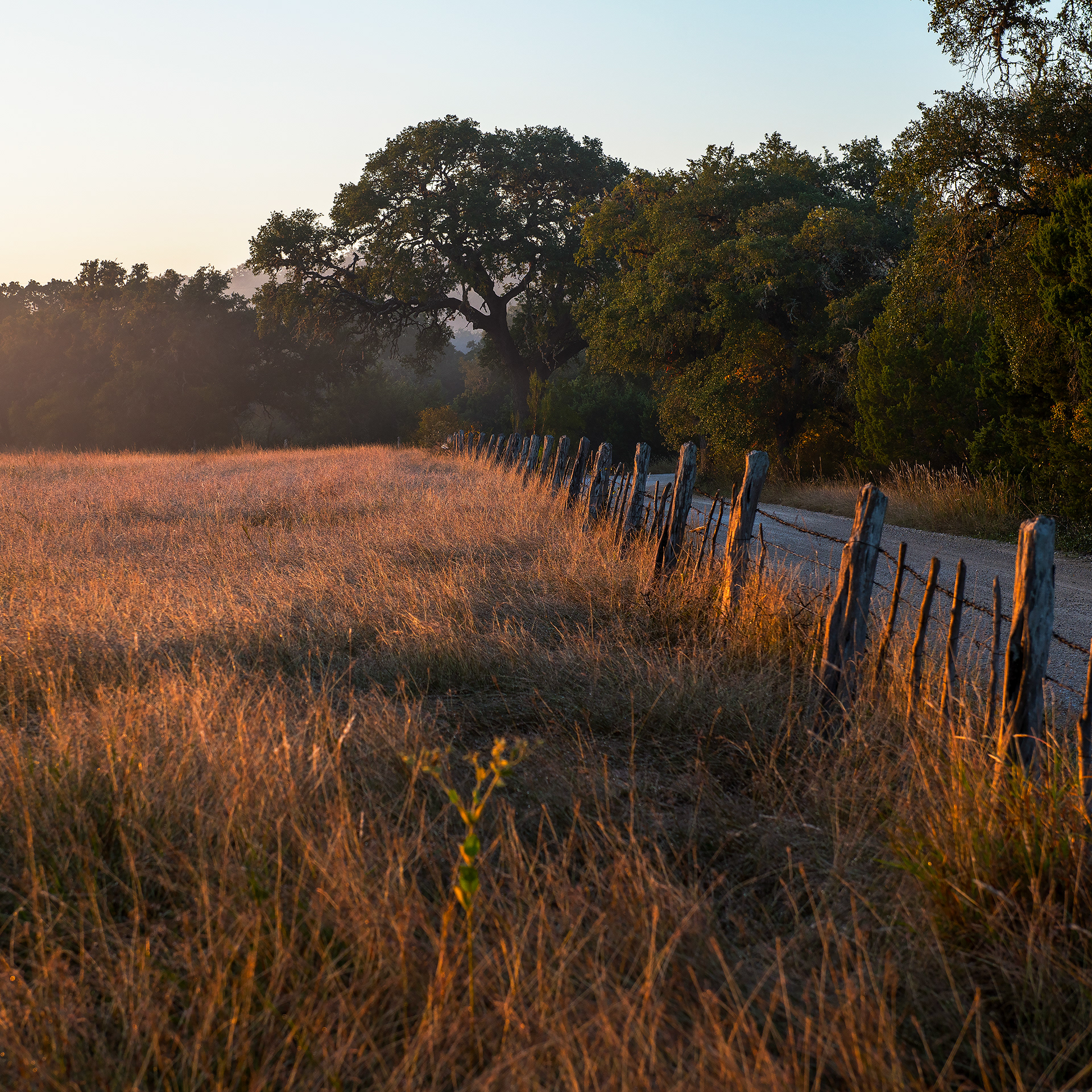 Fence at Sunrise
