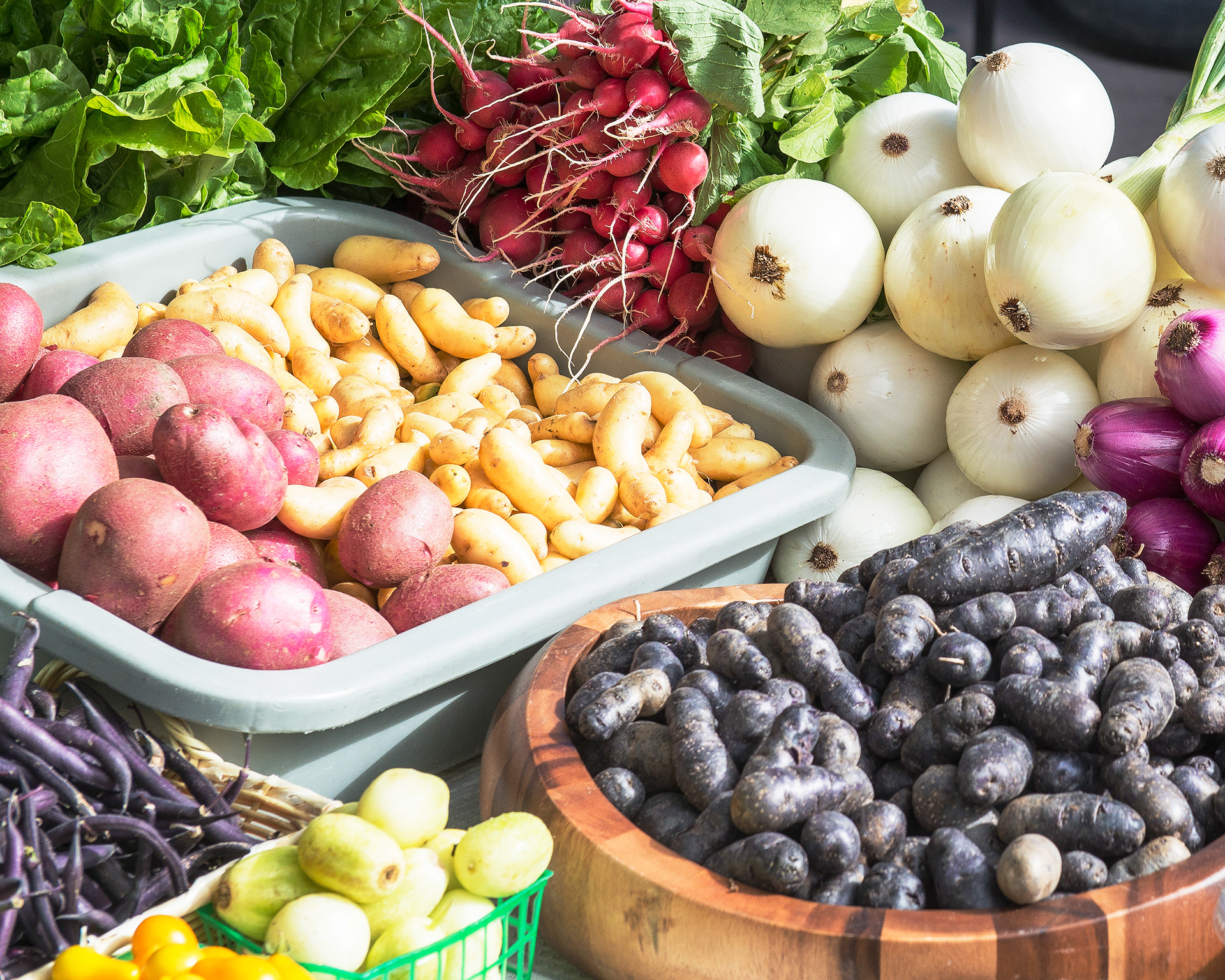 Various Vegetables - Paris