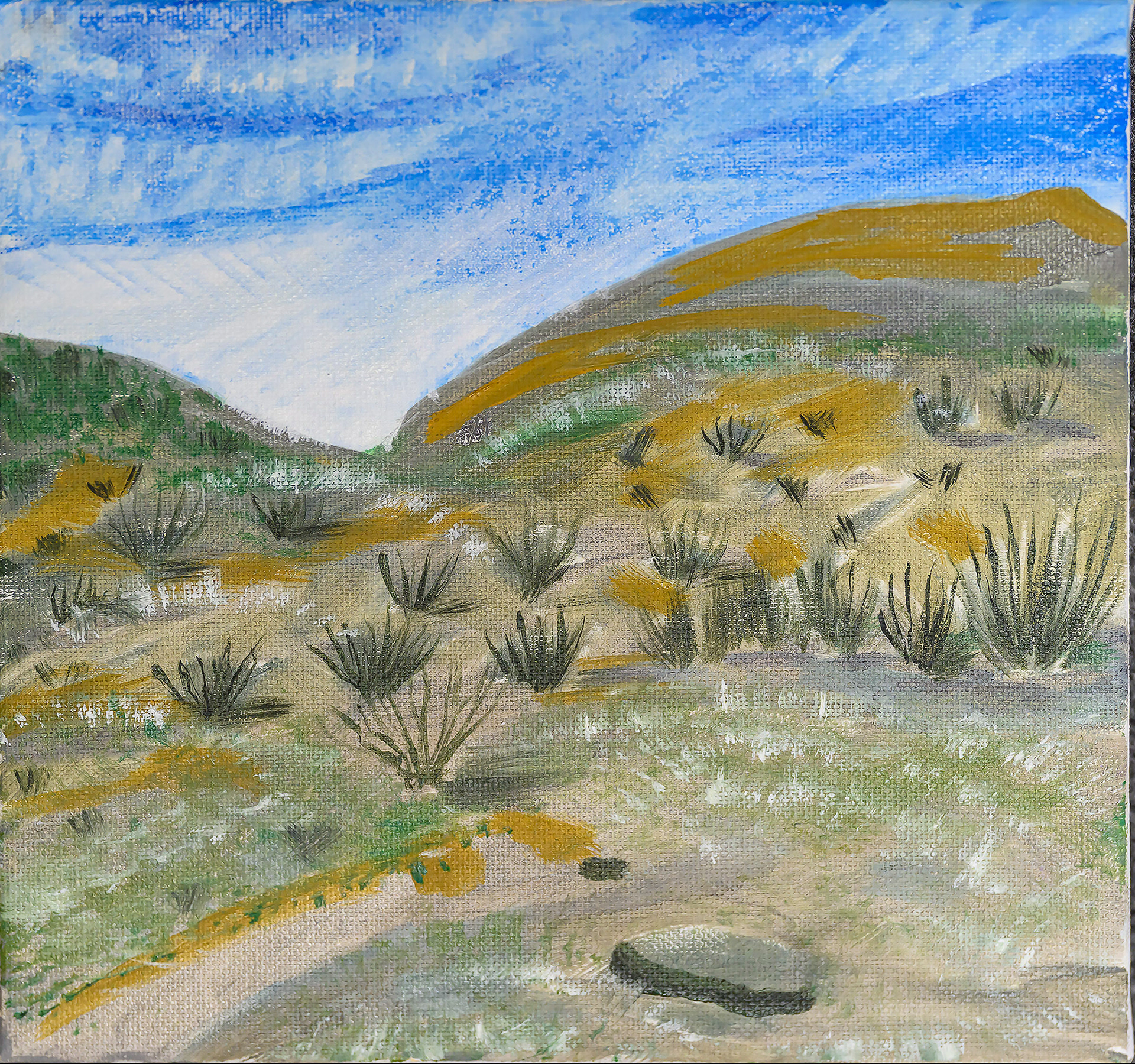 Angela Guerrero-Big Bend # 2