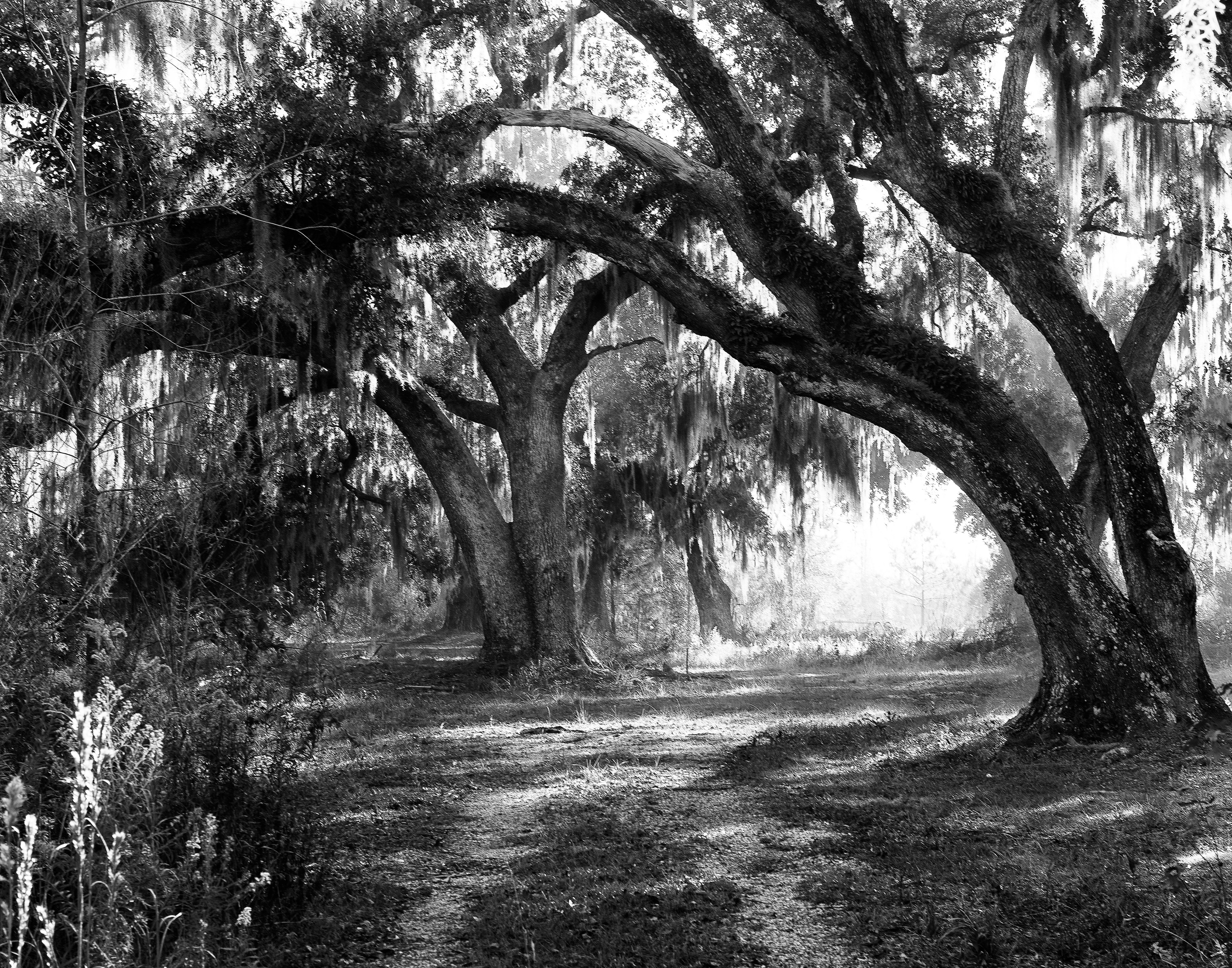 Oak Grove, Slidell LA