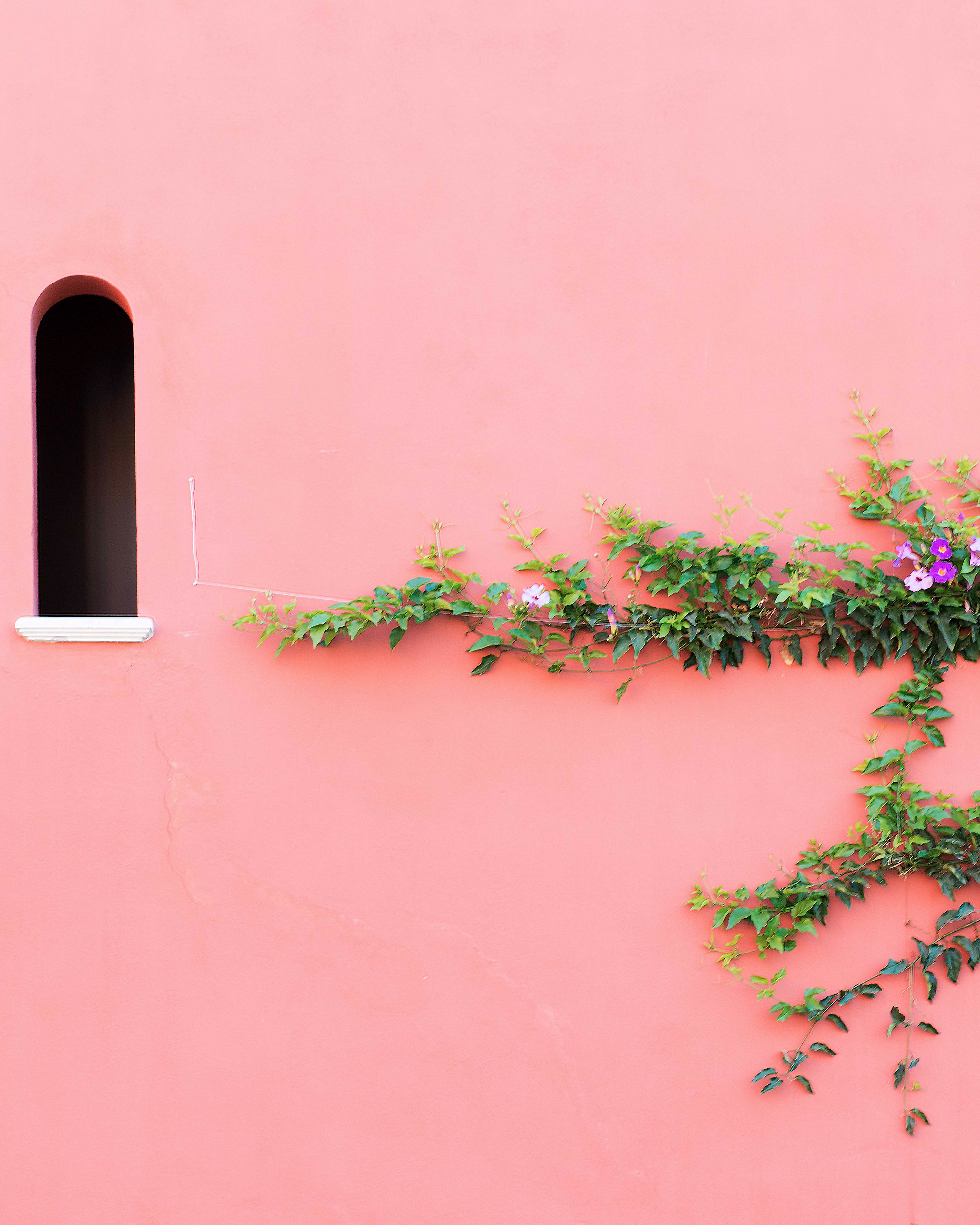 Pink Wall, San Miguel de Allende