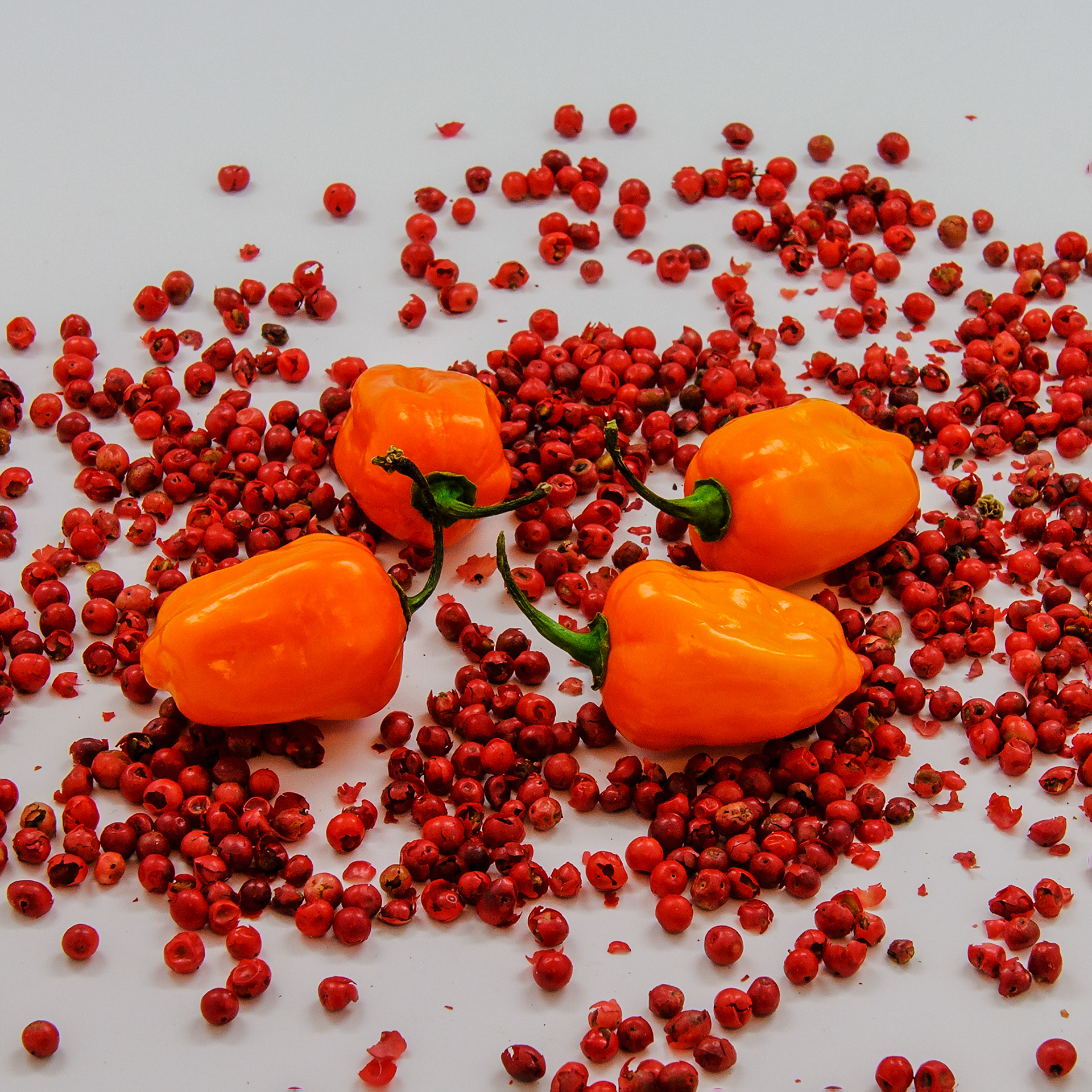 Habanero Peppers on Red Pepper Berries