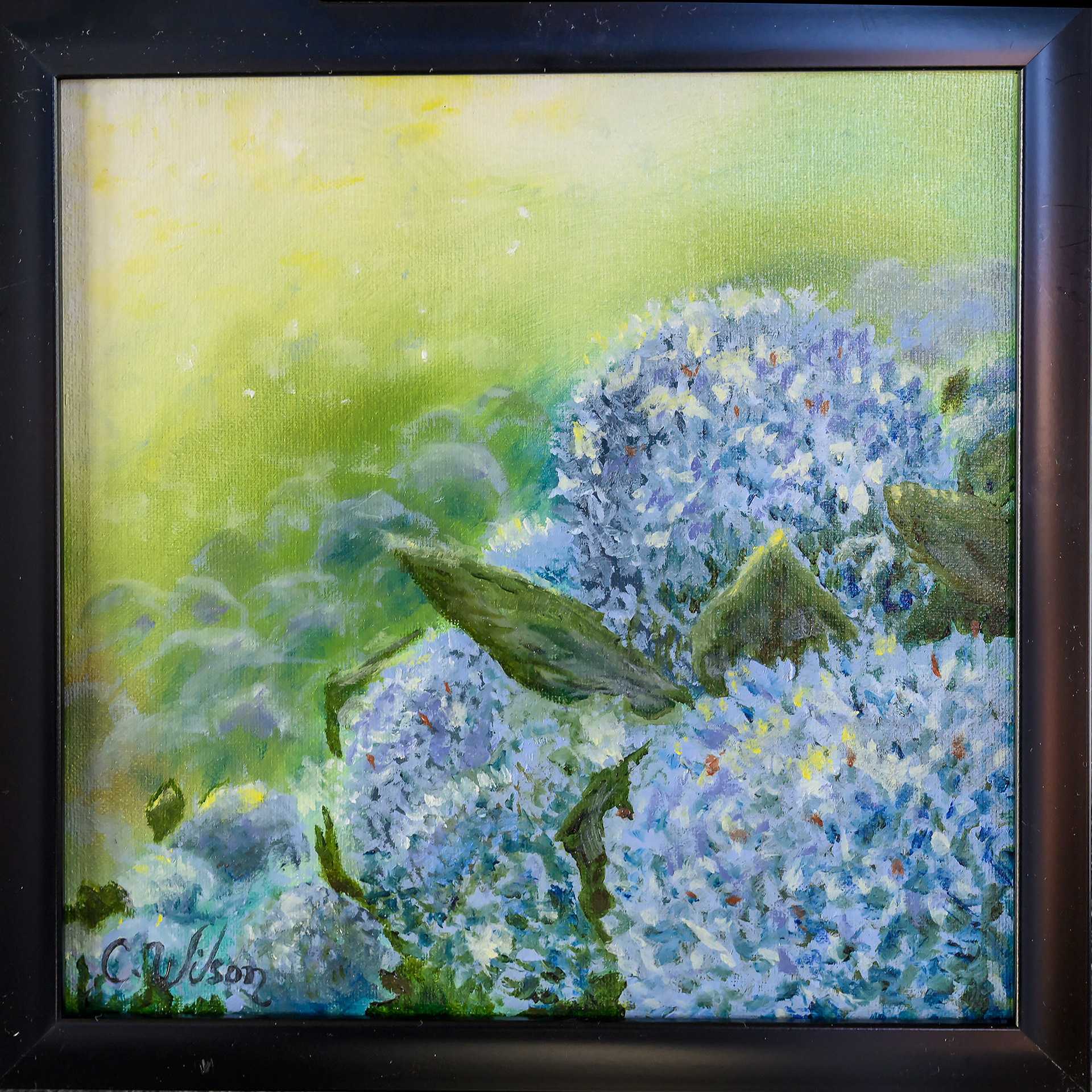 Christina Wilson-Roadside Hydrangeas Faial, Azores