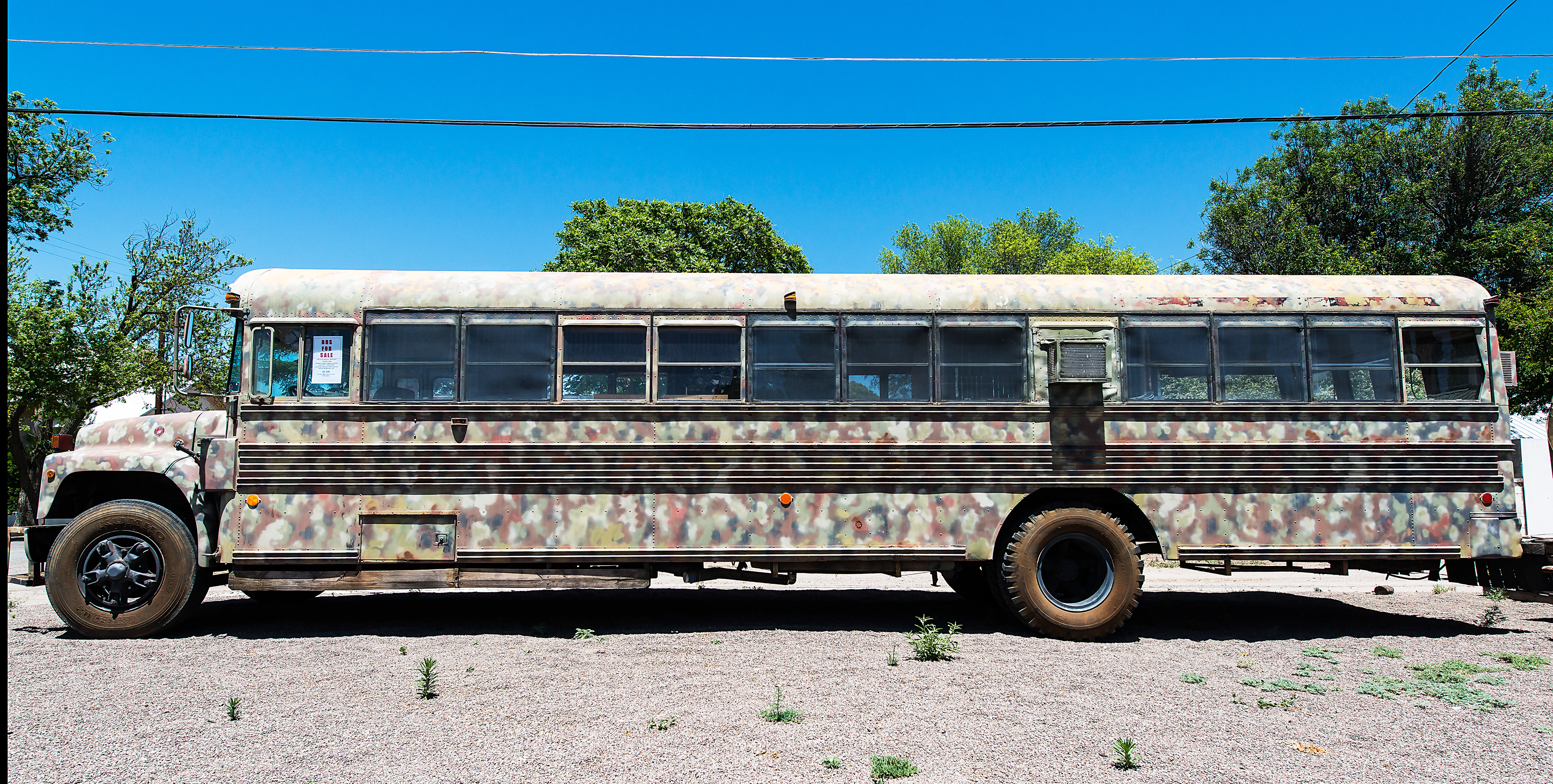 School Bus for Sale