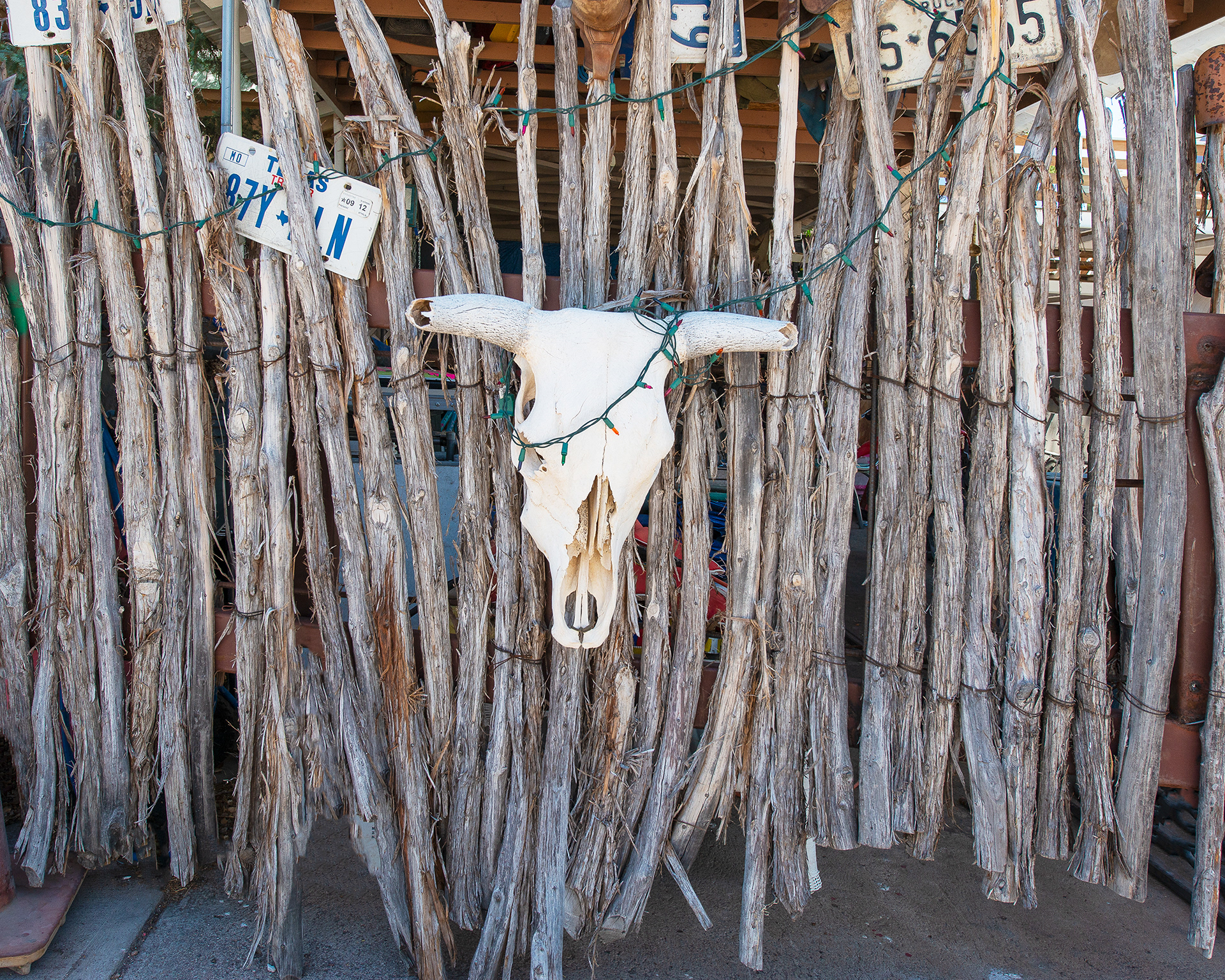 Fence with Skull