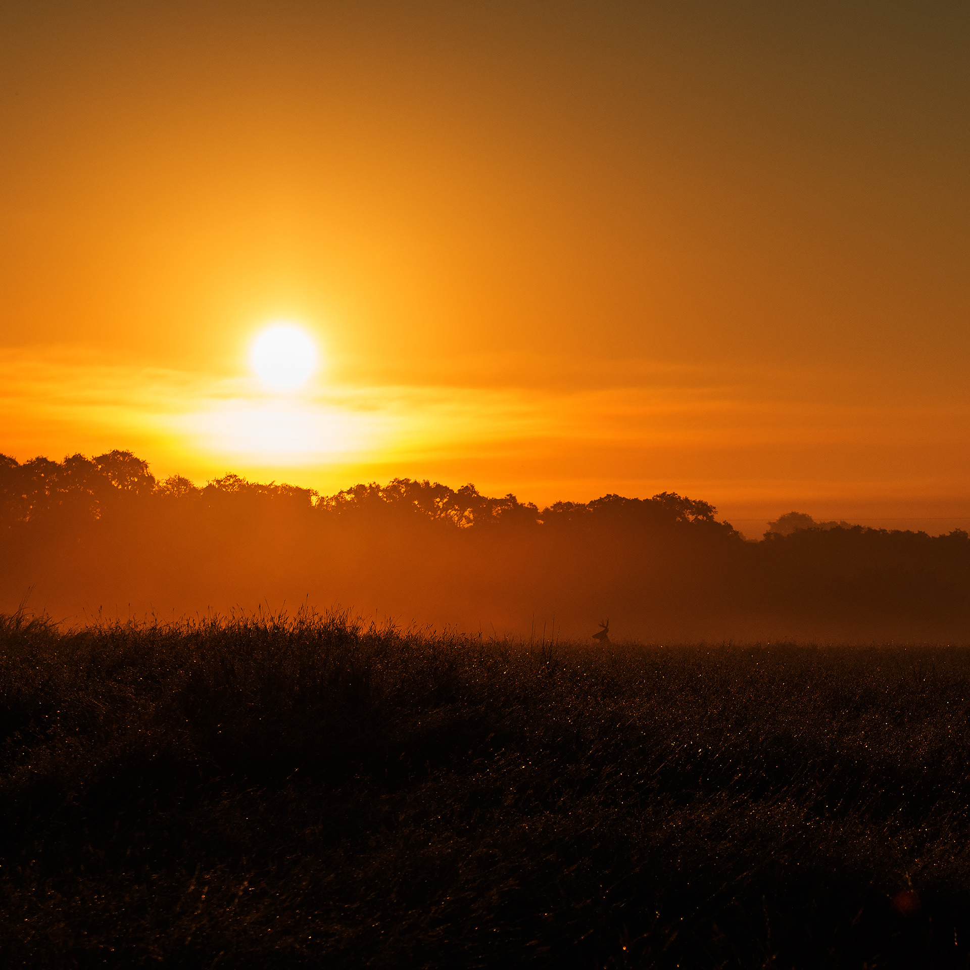 Sunrise over Hill Country