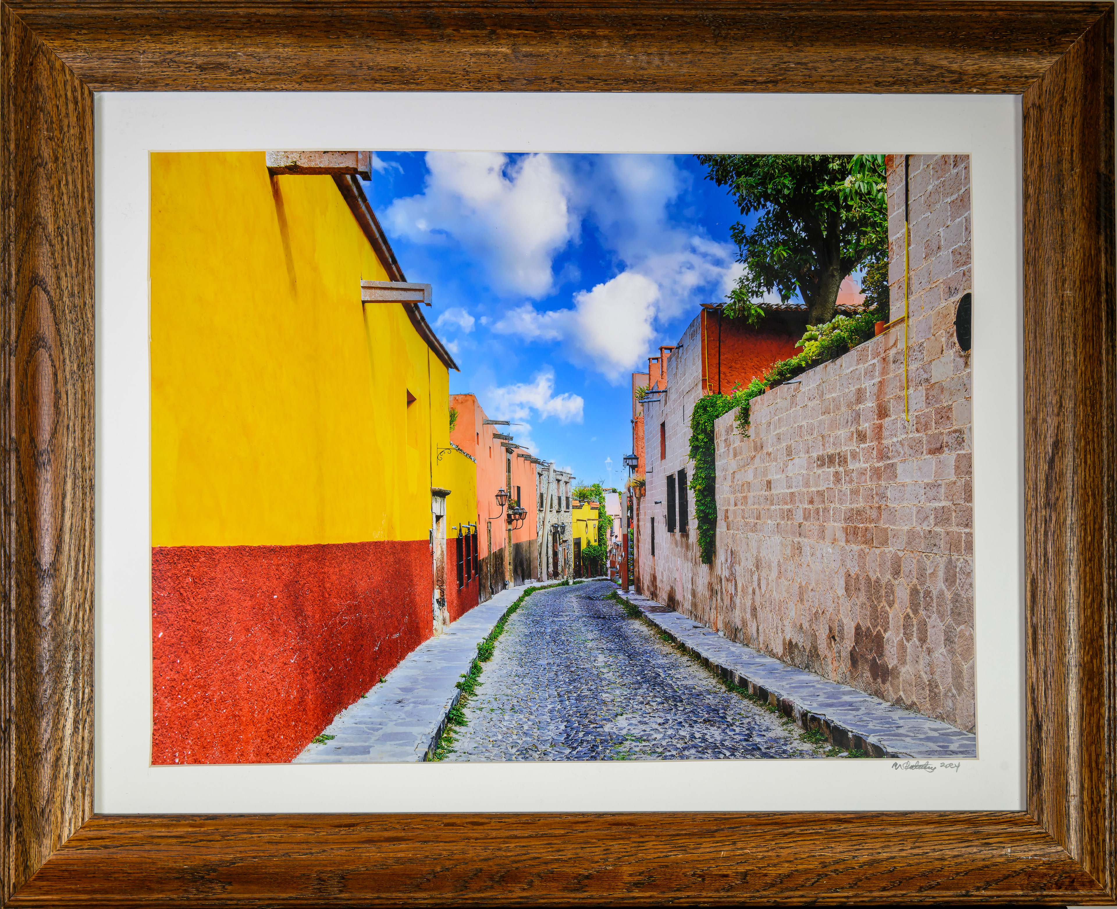 Cobblestone Street - San Miguel de Allende
