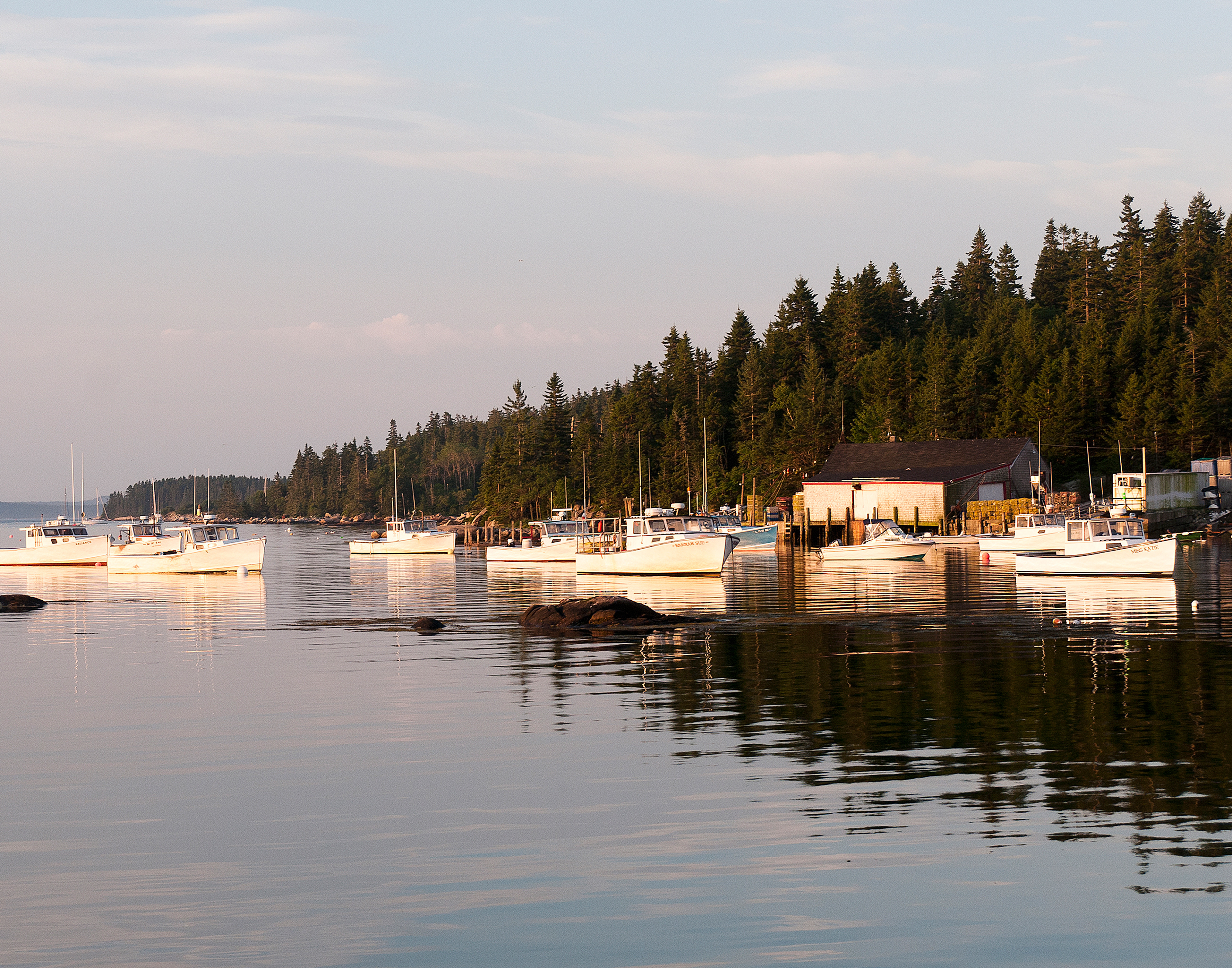 Boats in Port, Stonington Maine