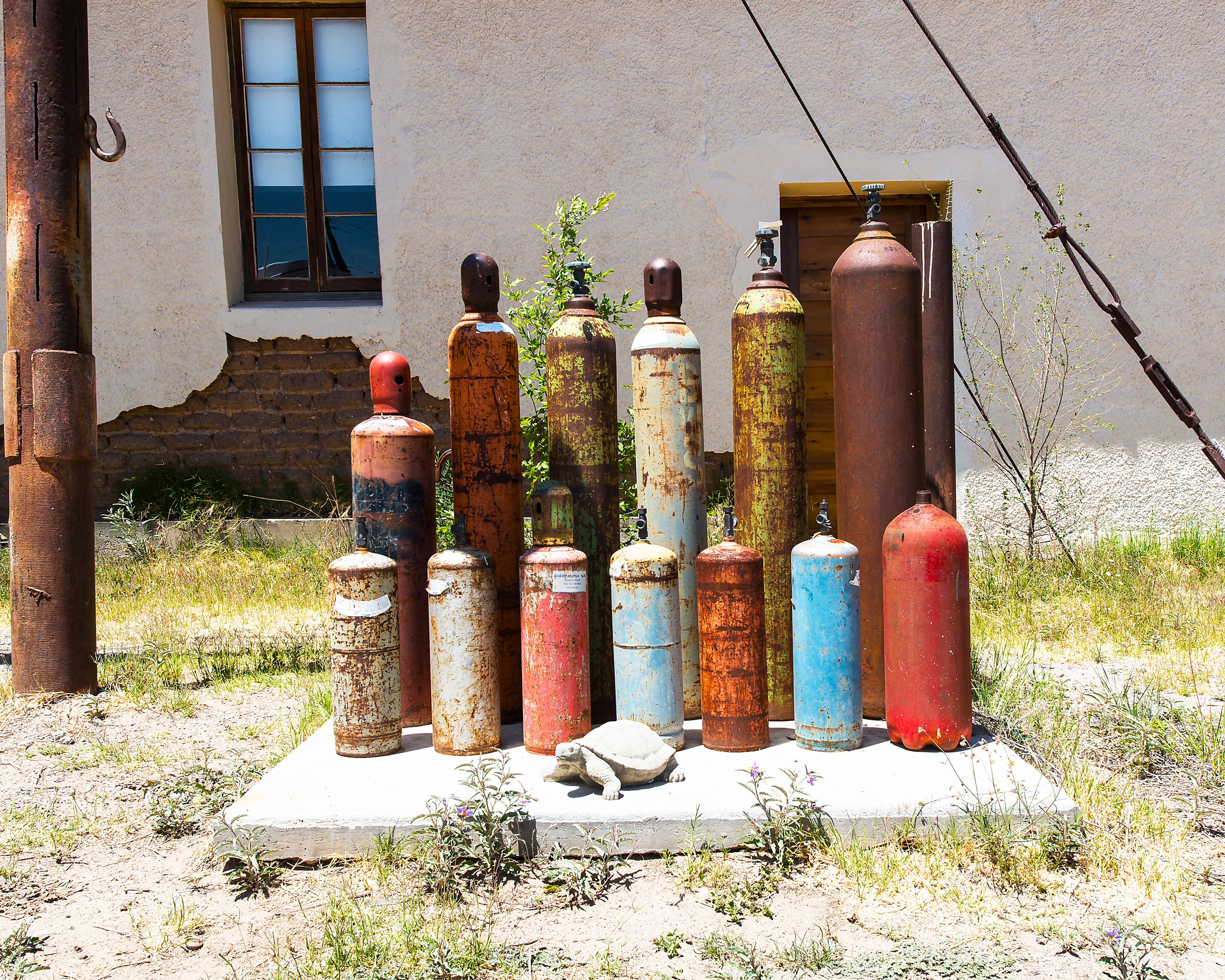 Gas Cylinders with Turtle