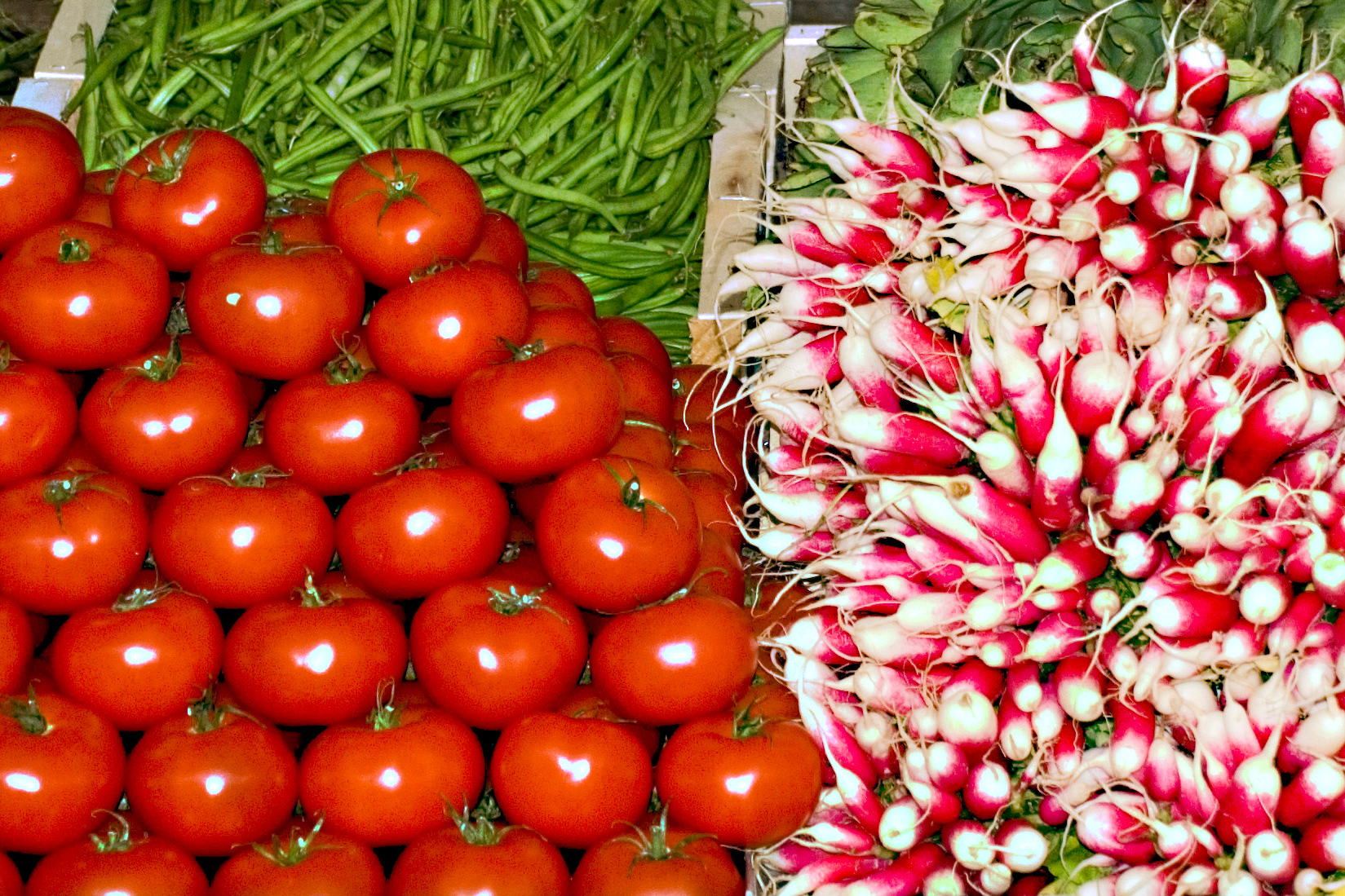 Tomatoes and Radishes - Paris